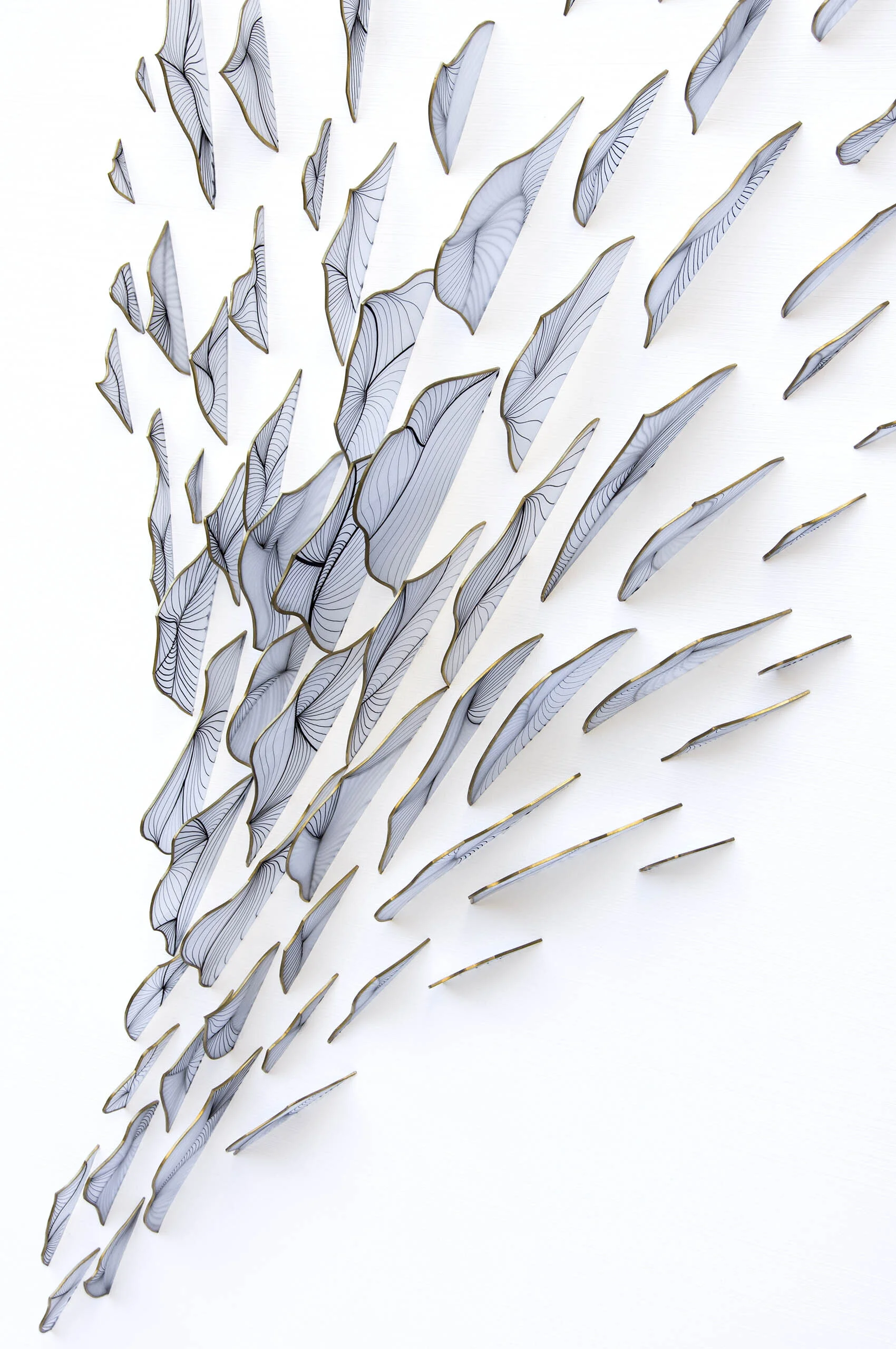dp3d061-great-dispersion-detail2.jpg