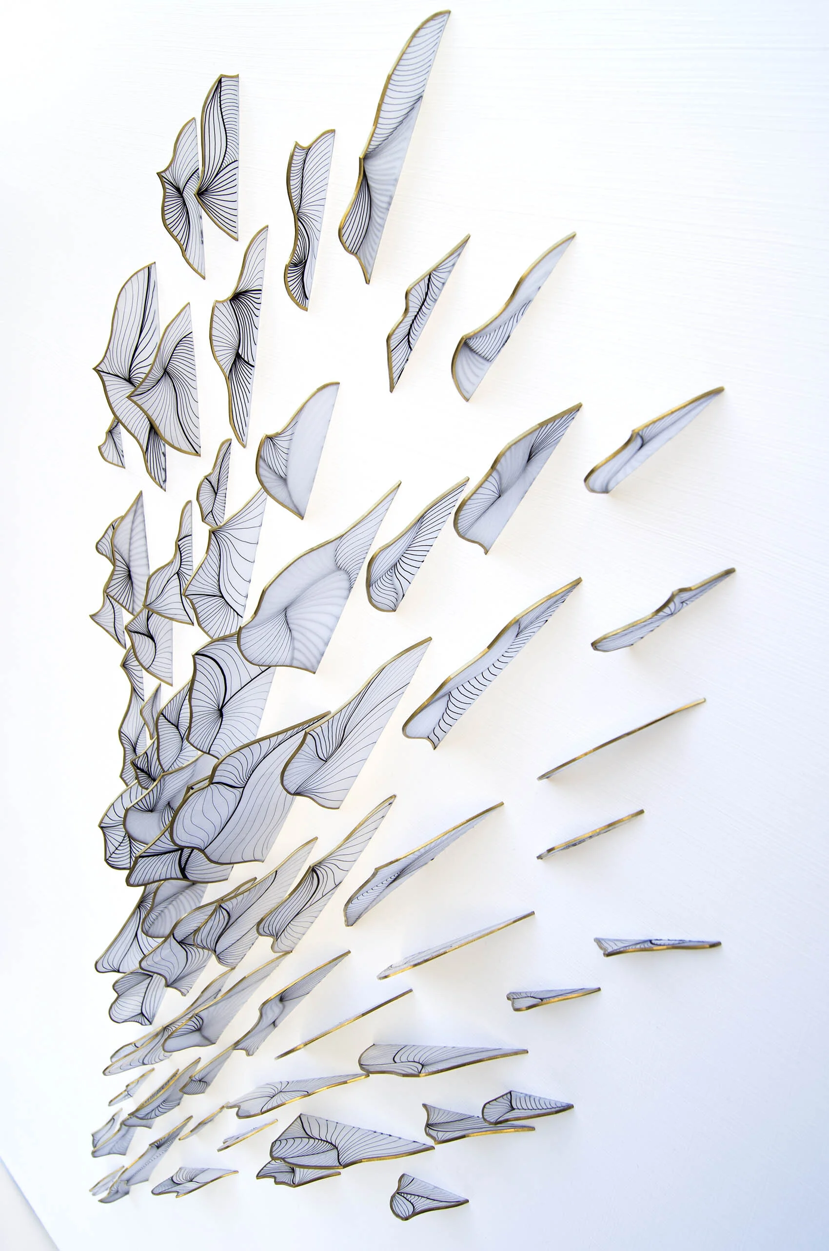 dp3d061-great-dispersion-right.jpg