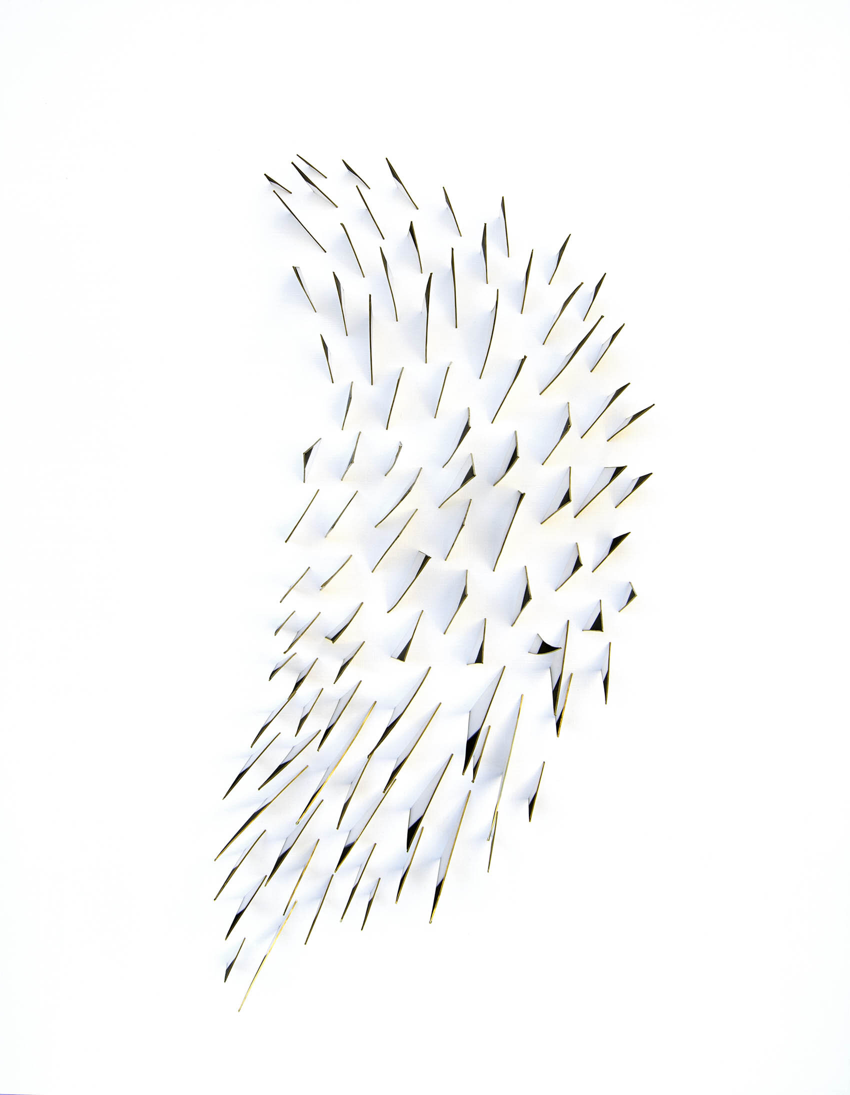 Great Quills