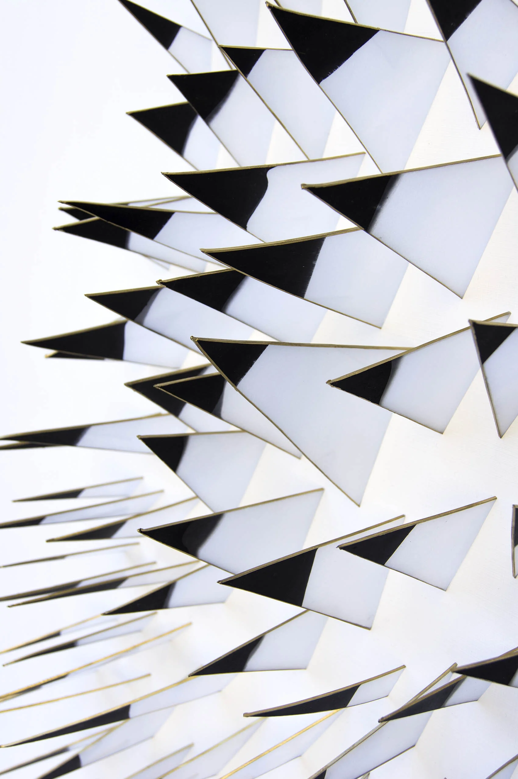 dp3d062-great-quills-detail1.jpg