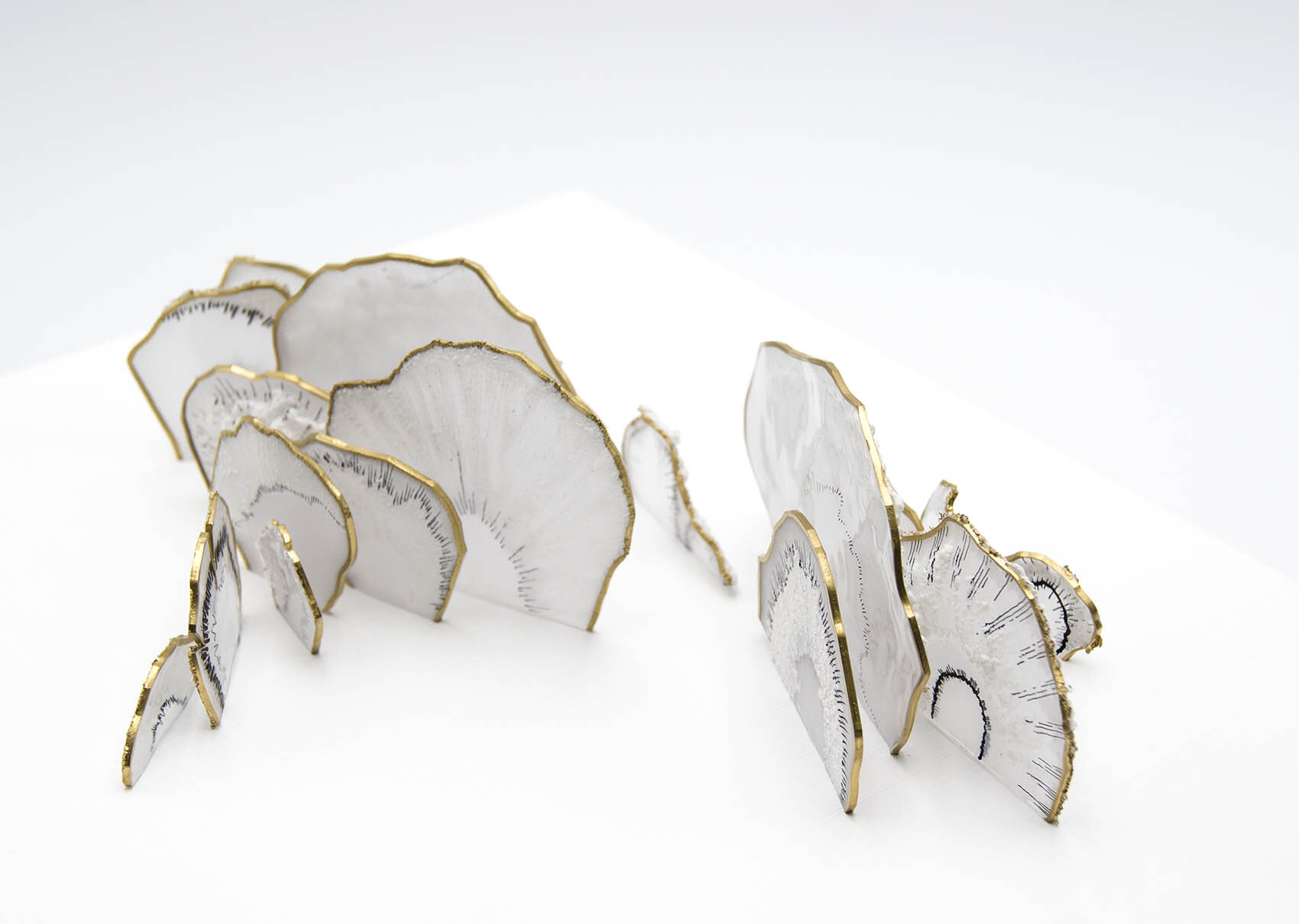 dp3d066-polypore-detail1.jpg