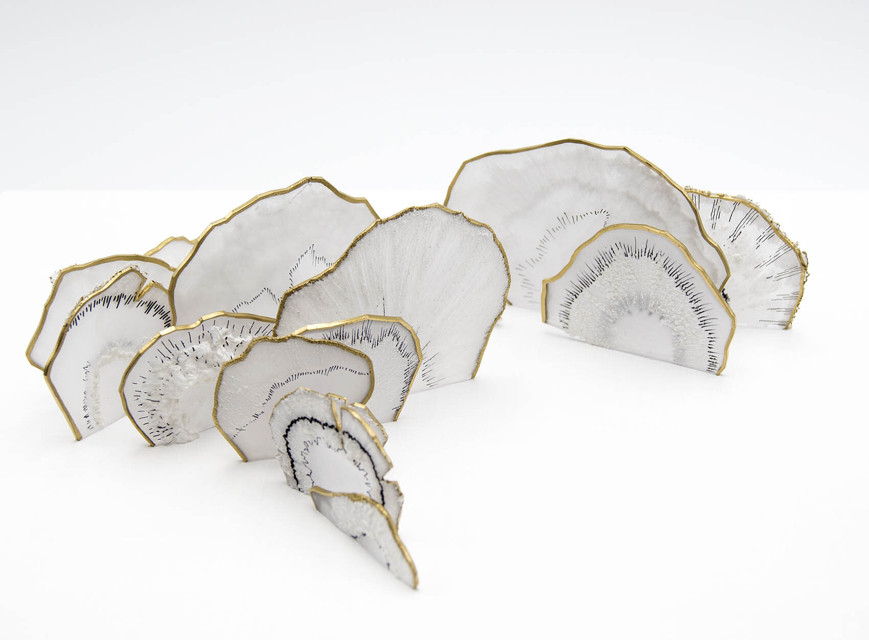 dp3d066-polypore-detail2.jpg