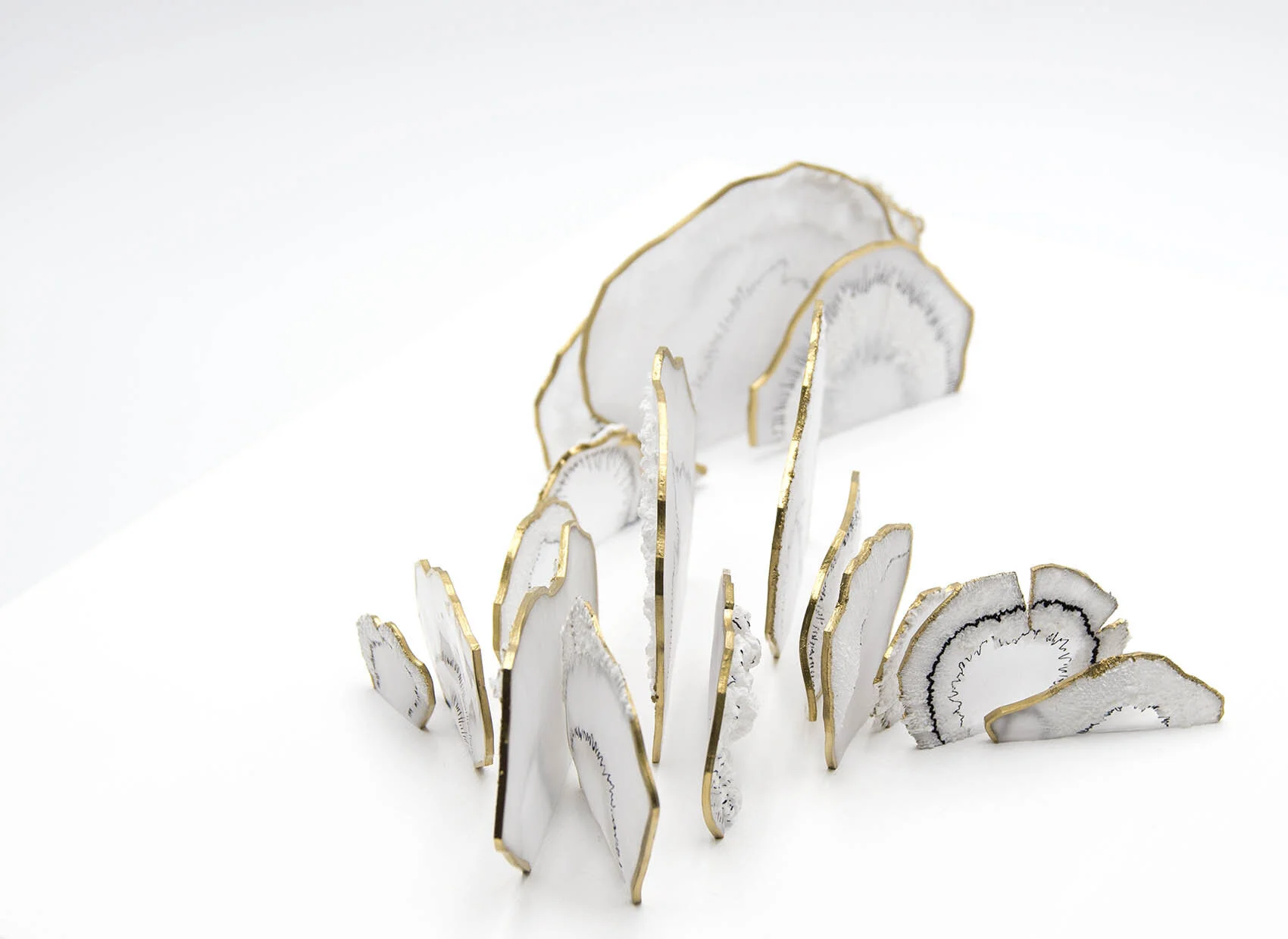 dp3d066-polypore-detail3.jpg