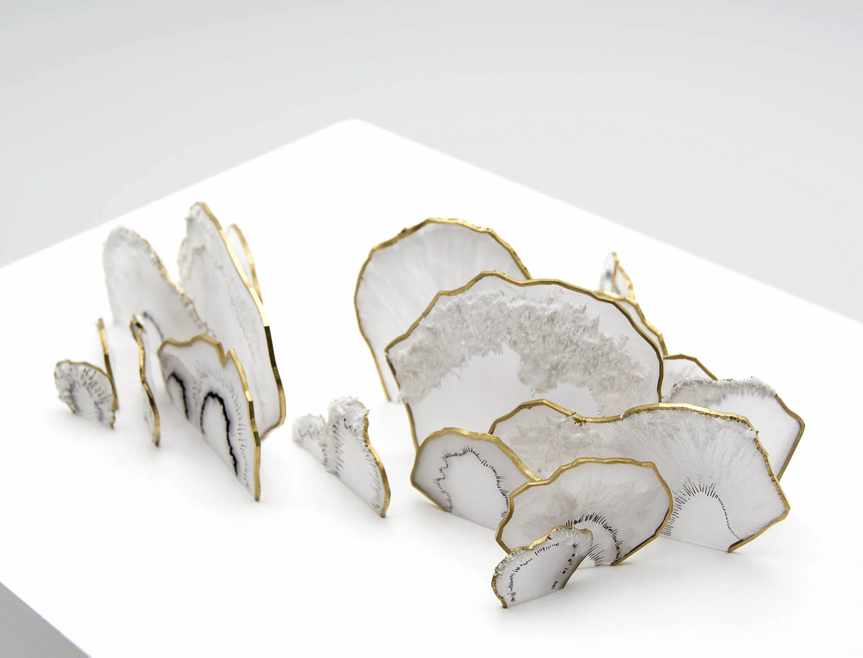 dp3d066-polypore-detail4.jpg
