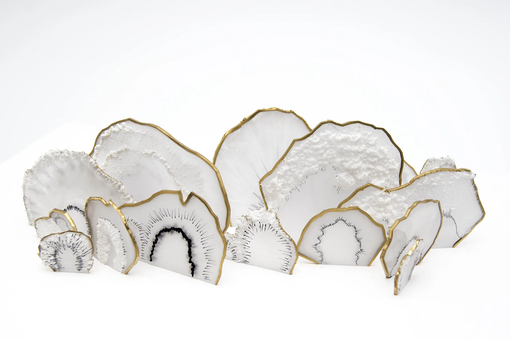 dp3d066-polypore-detail5.jpg