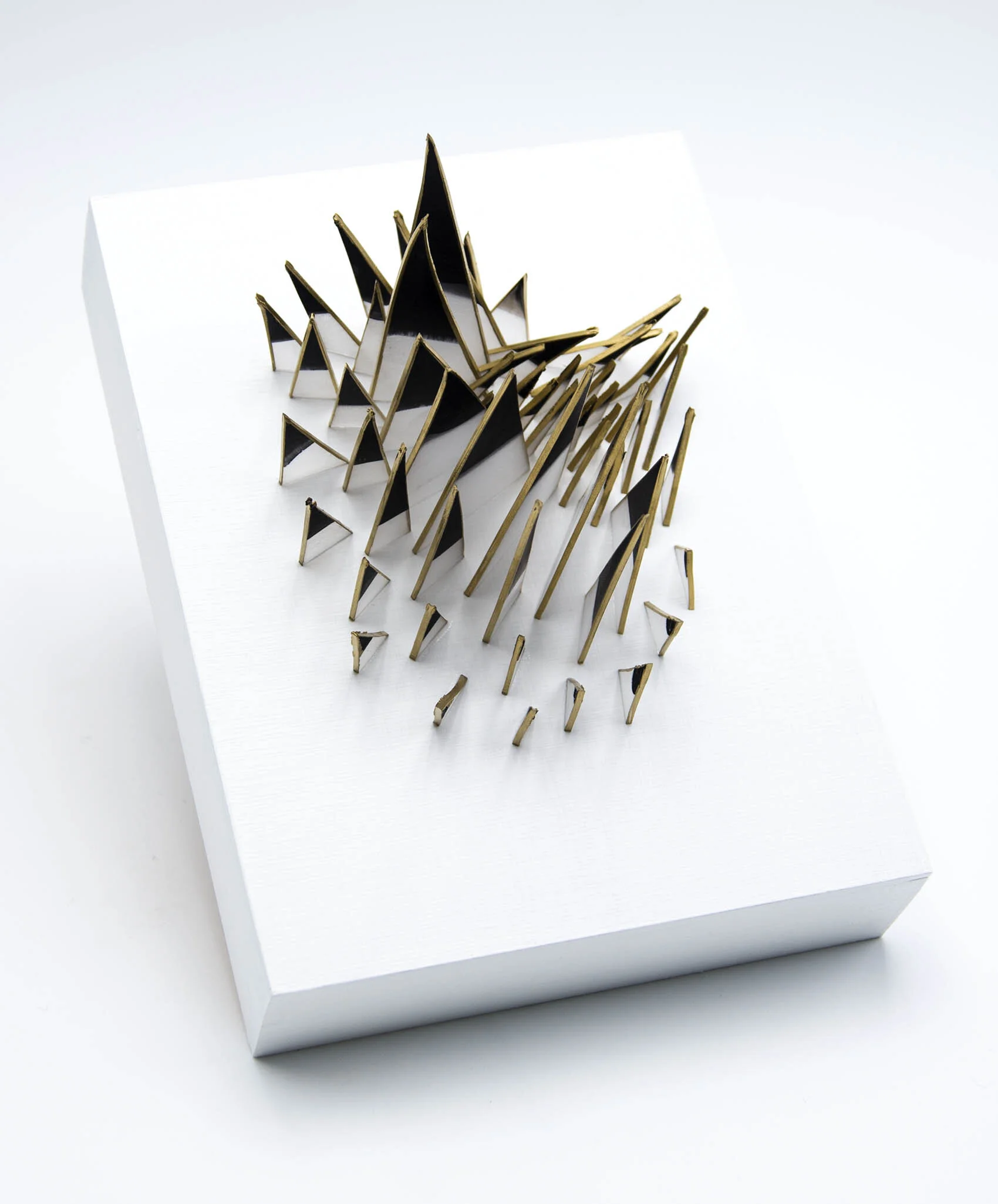 dp3d071-quill-cluster-angle.jpg