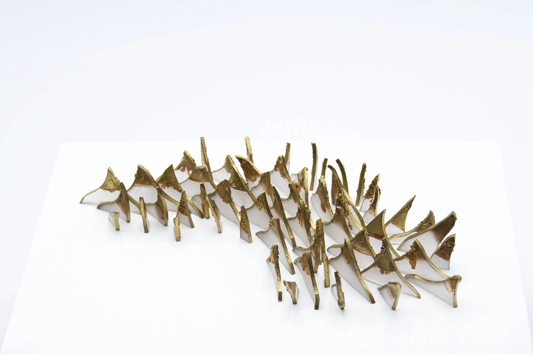 dp3d073-bull-shark-teeth-detail1.jpg