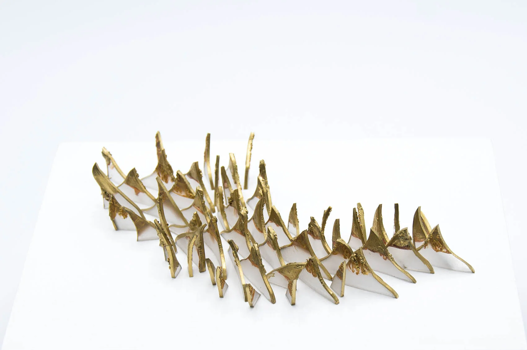dp3d073-bull-shark-teeth-detail2.jpg