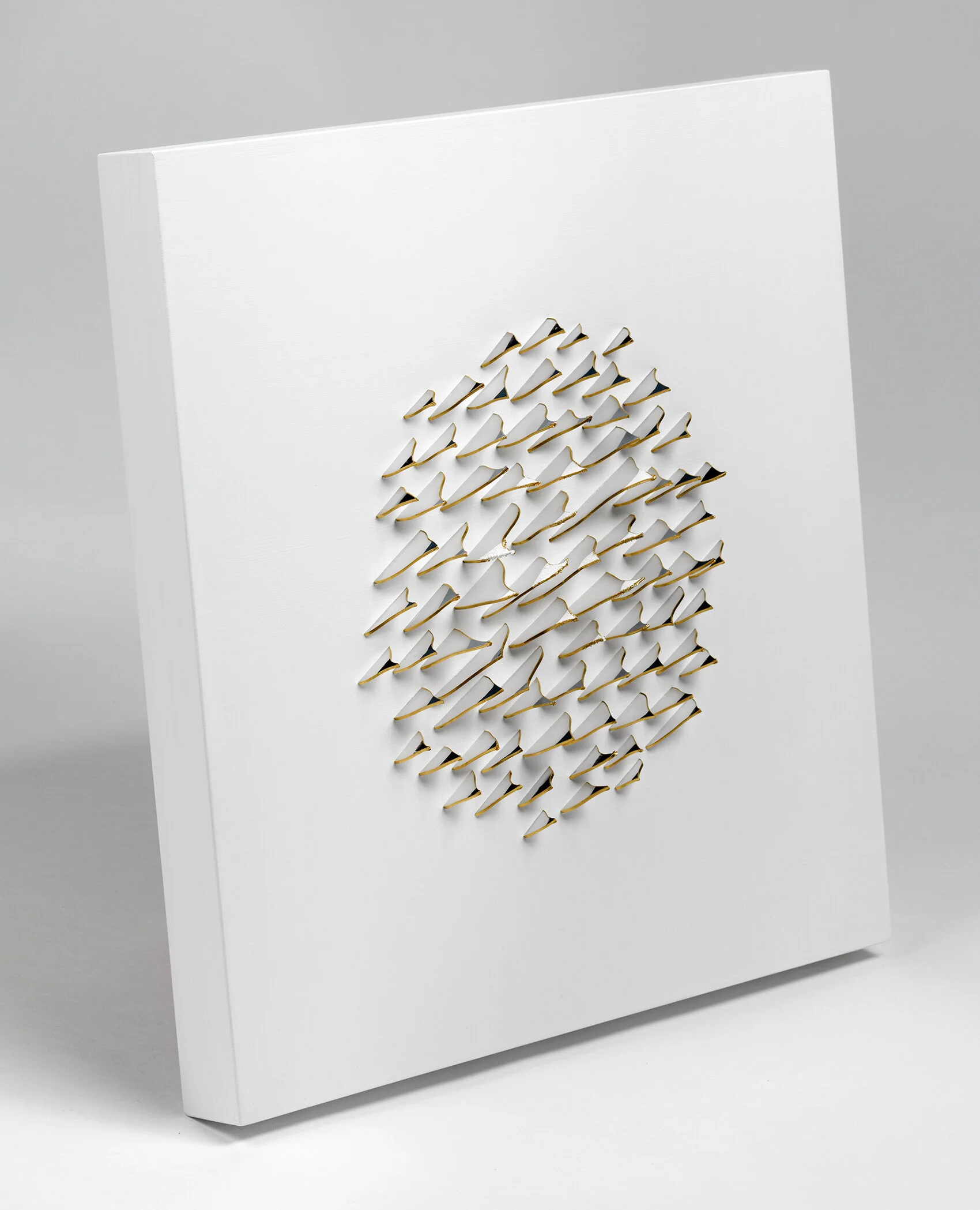 dp3d085-tooth-circle-angle.jpg