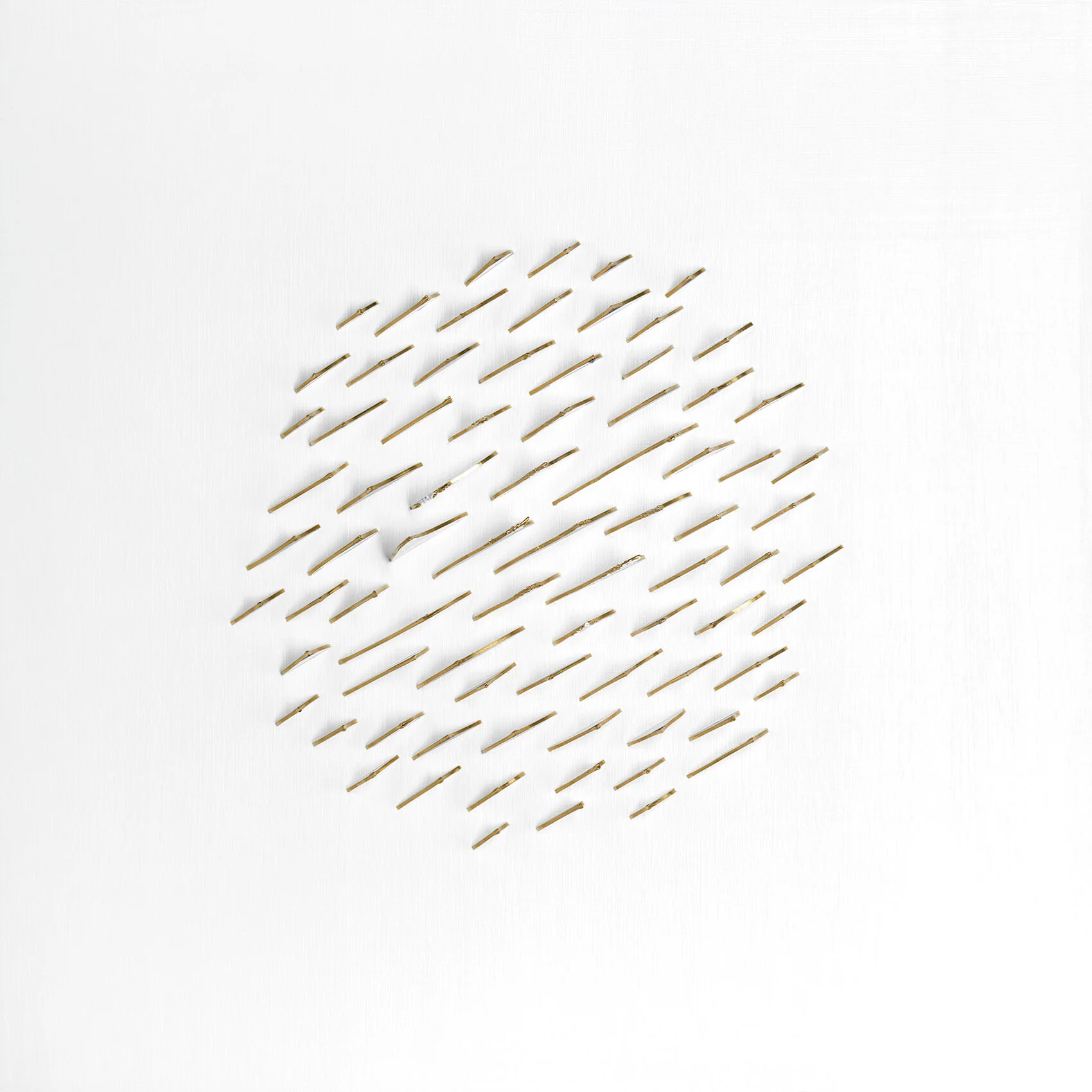 Tooth Circle