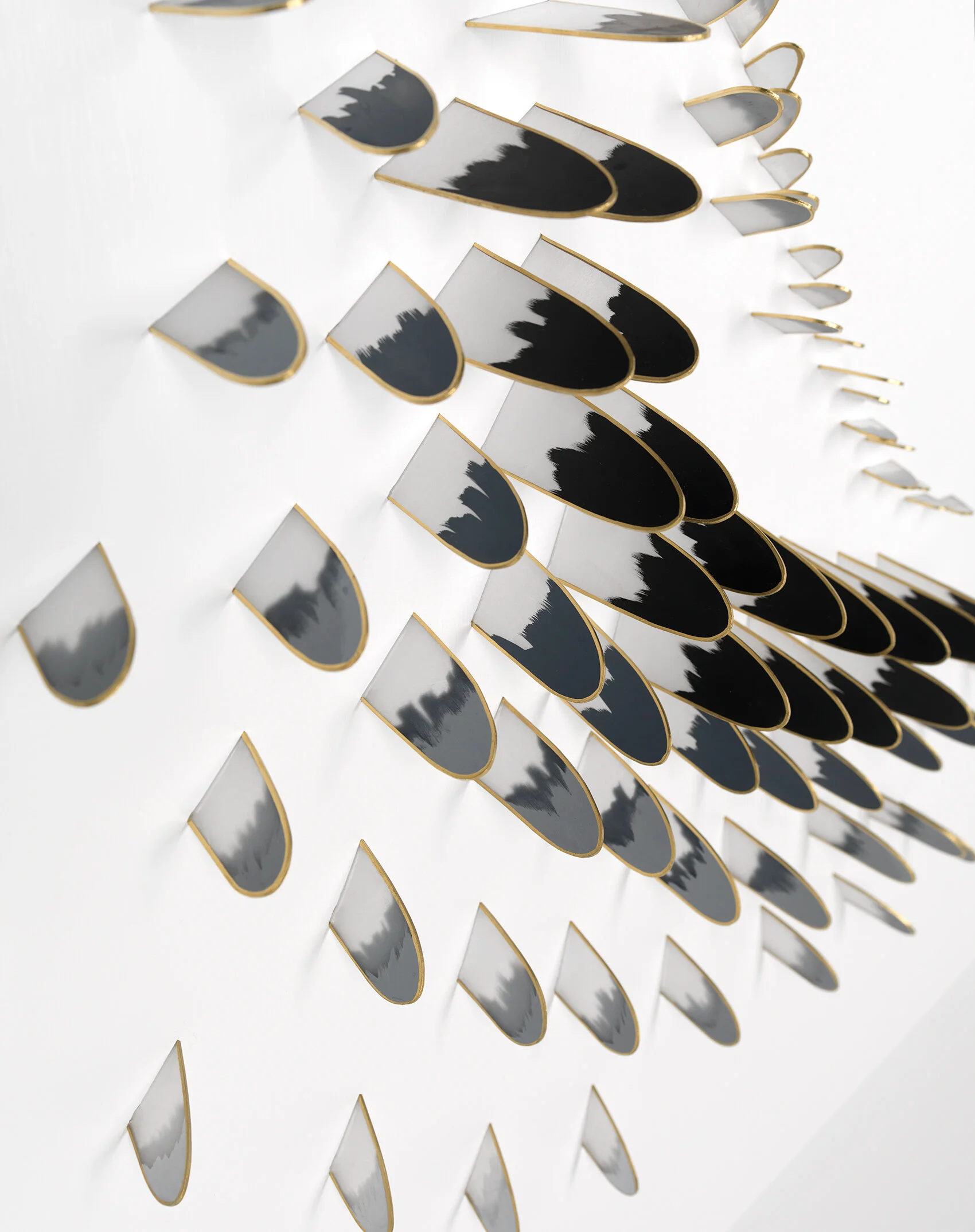 dp3d079-wing-gradient-detail1.jpg