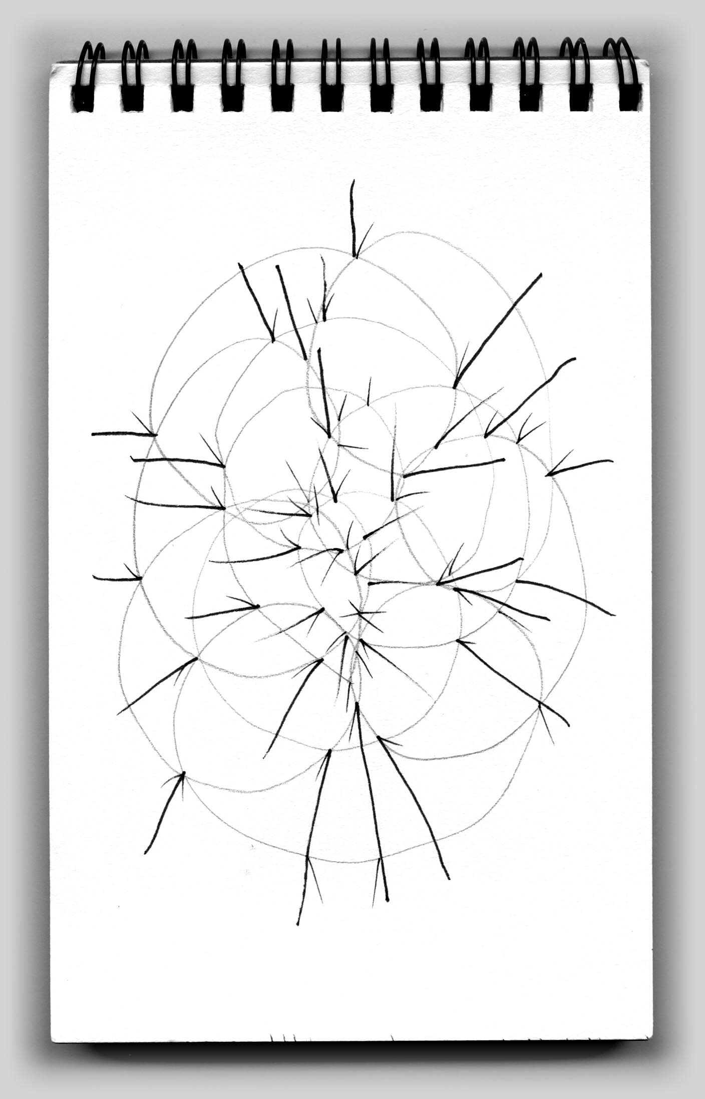 Untitled (book 25, sketch 4)