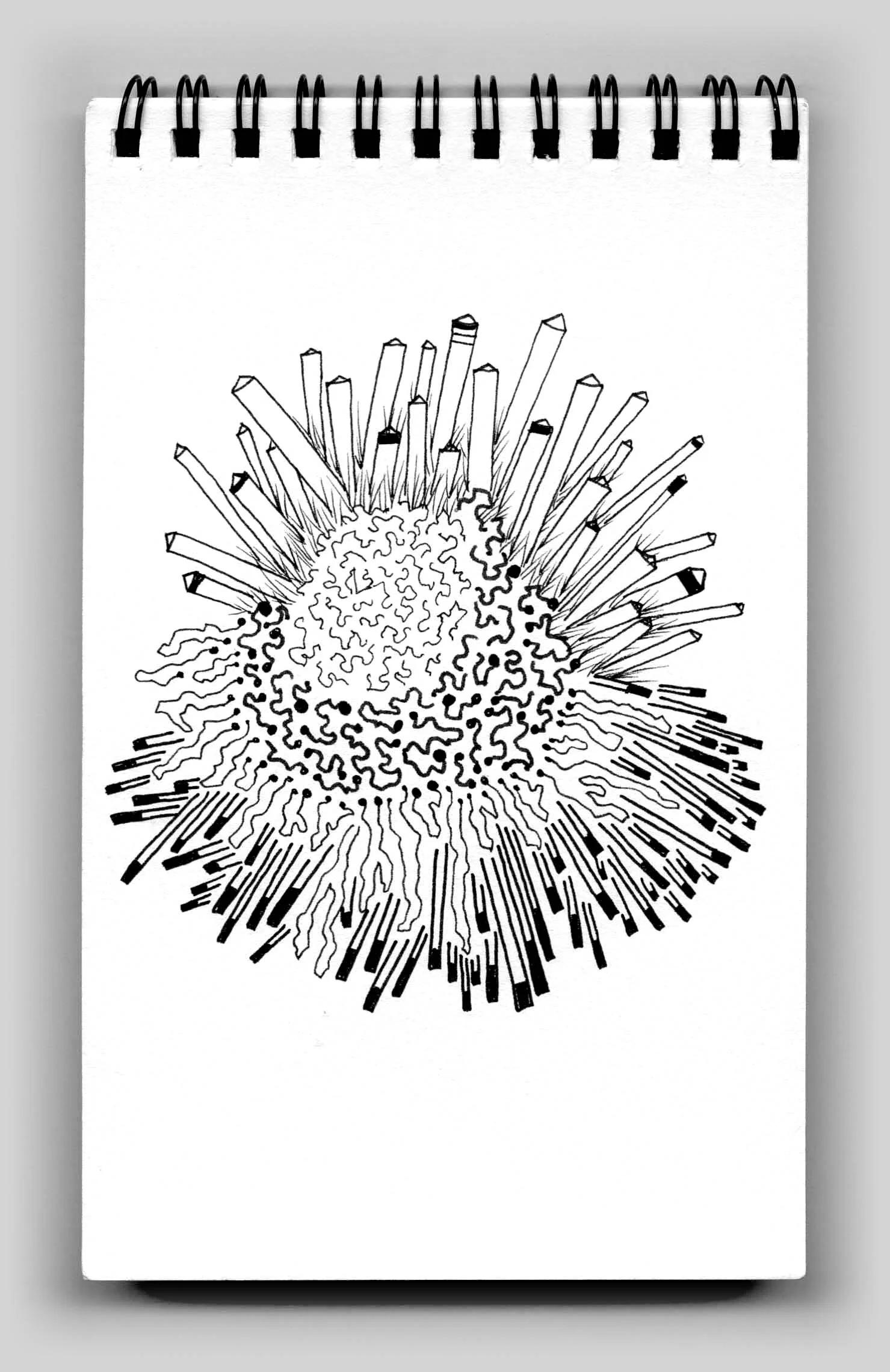 Untitled (book 25, sketch 12)