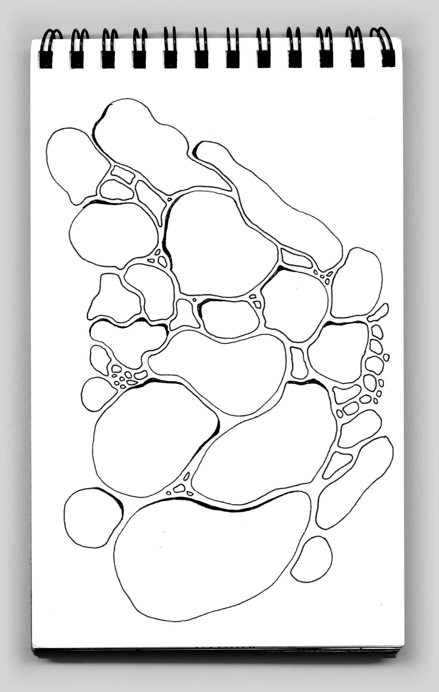 Untitled (book 24, sketch 21)