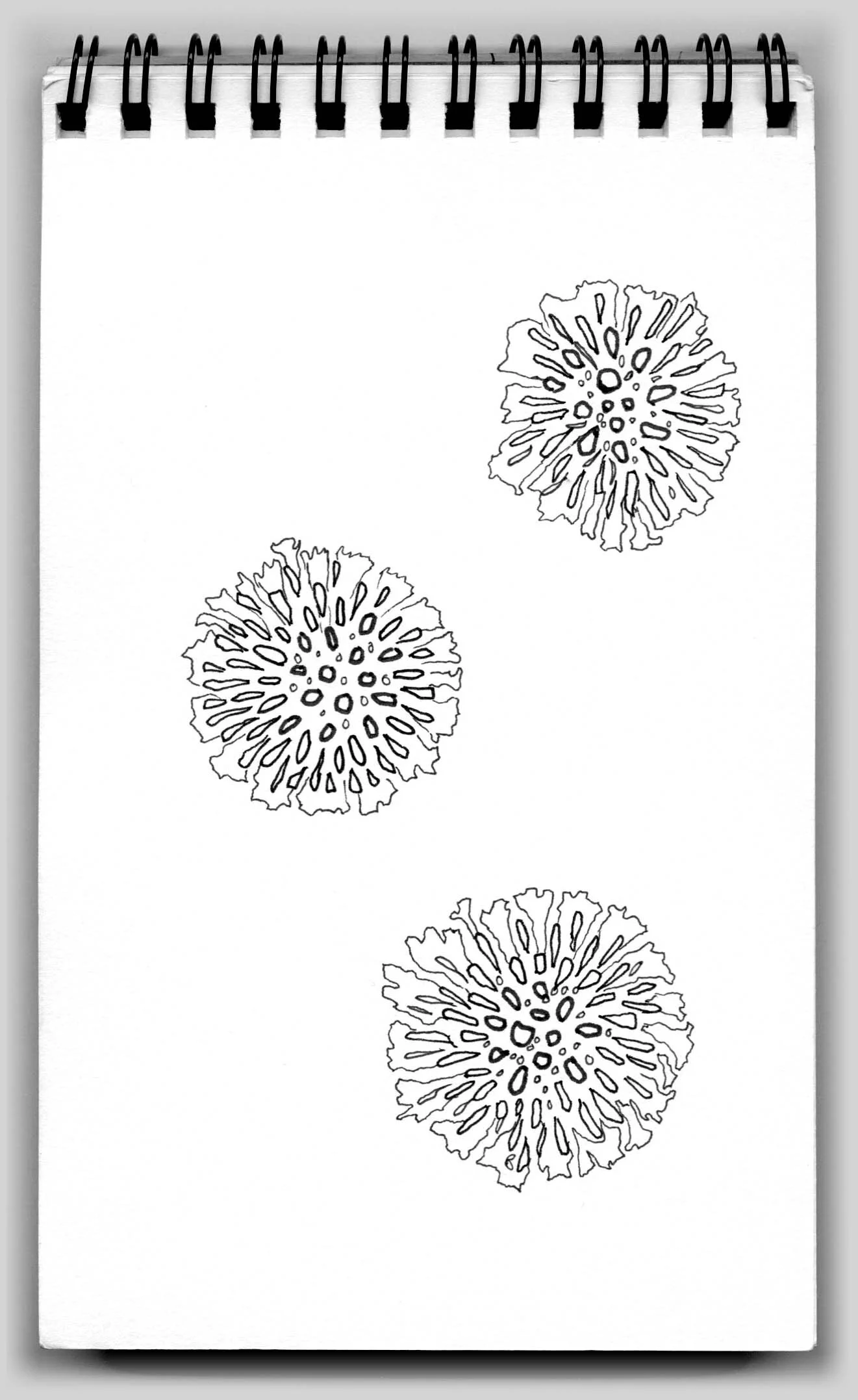 Untitled (book 24, sketch 23)