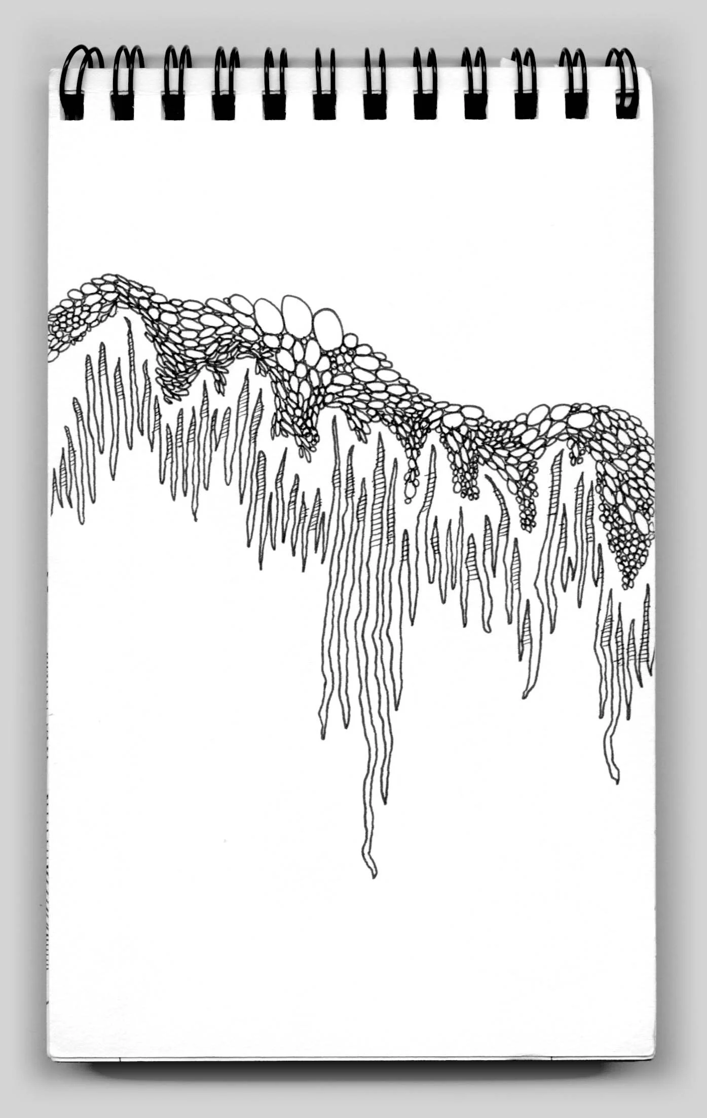 Untitled (book 20, sketch 9)