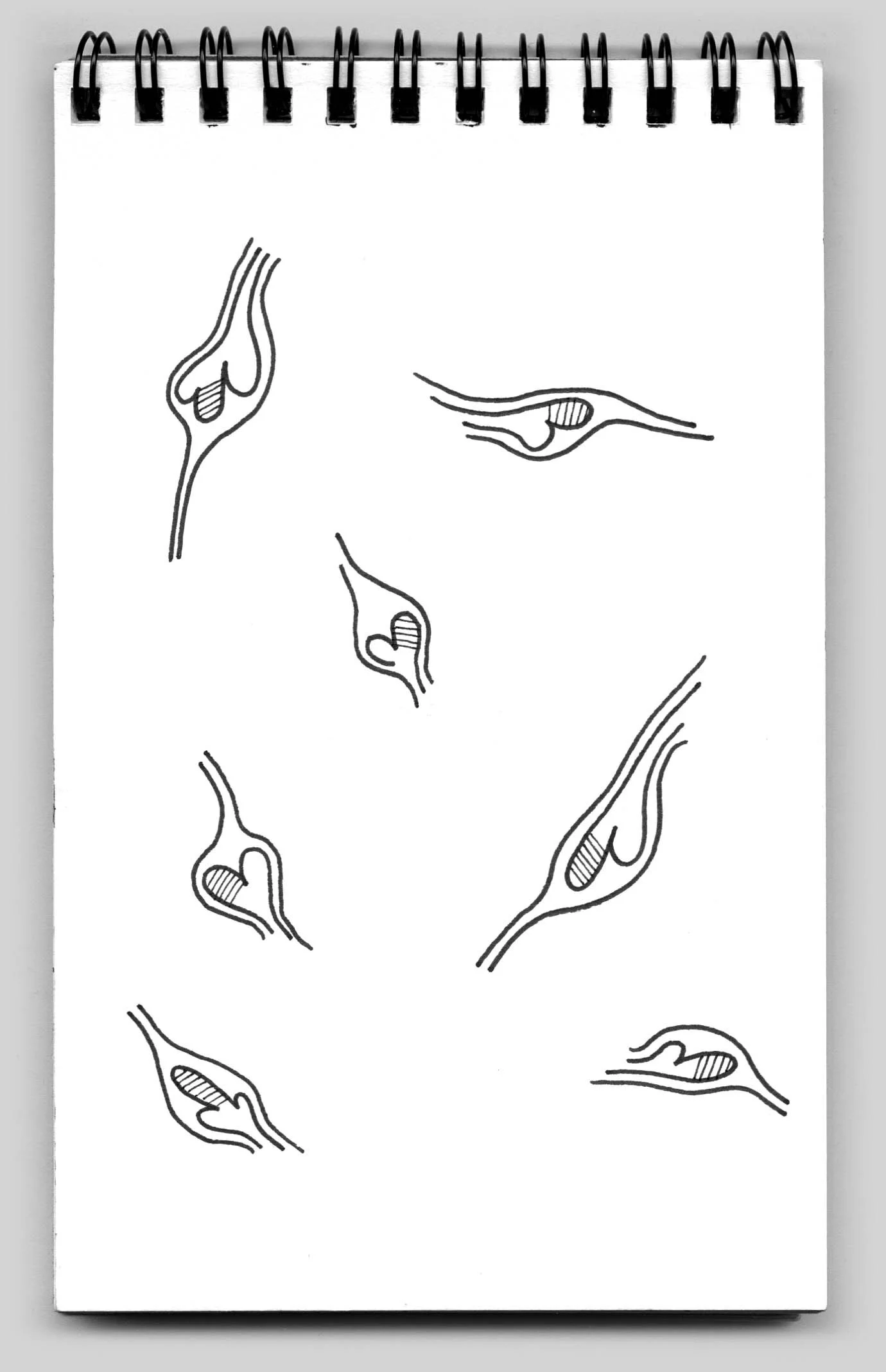 Untitled (book 16, sketch 6)