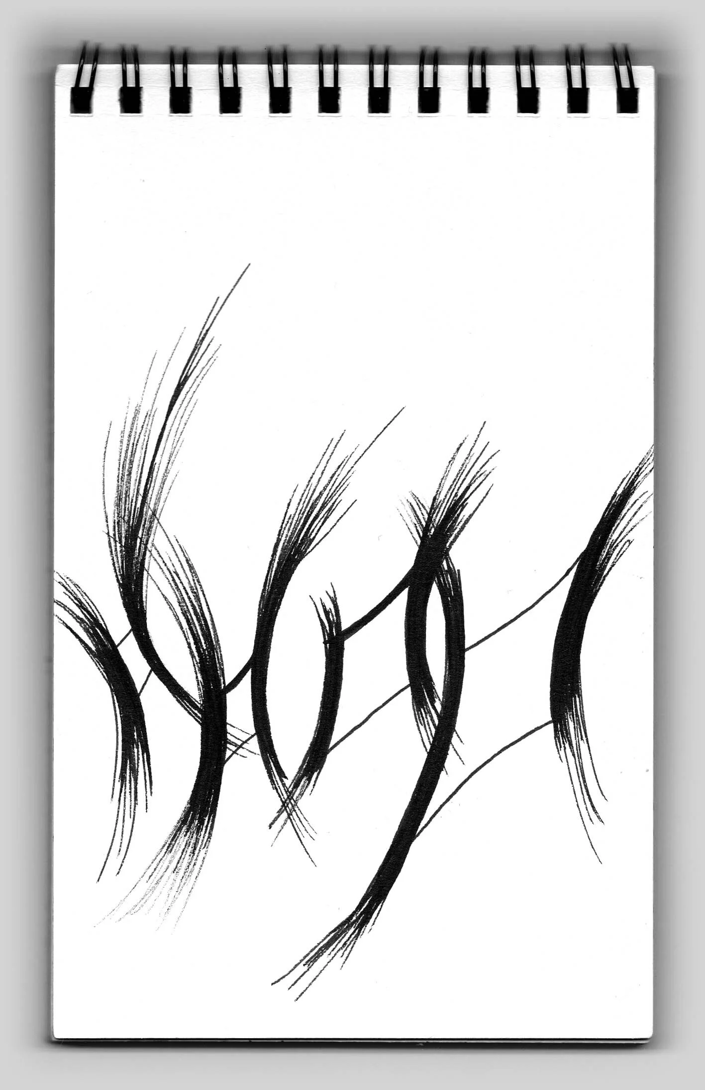 Untitled (book 15, sketch 5)