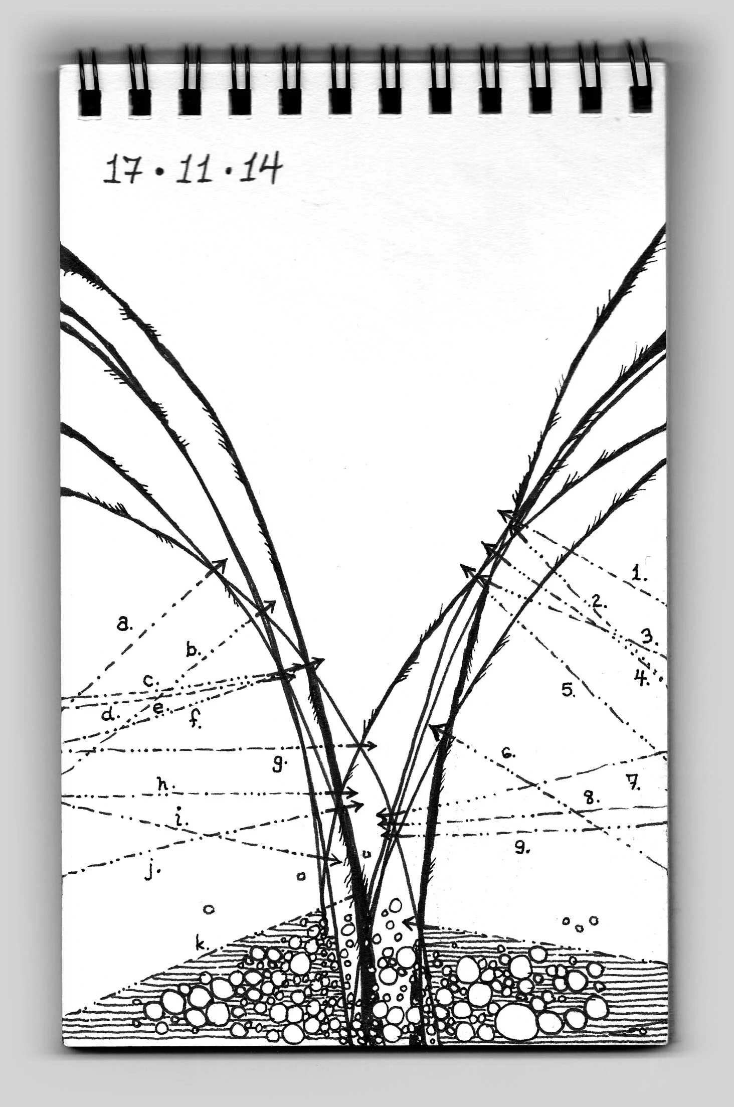 Untitled (book 14, sketch 11)