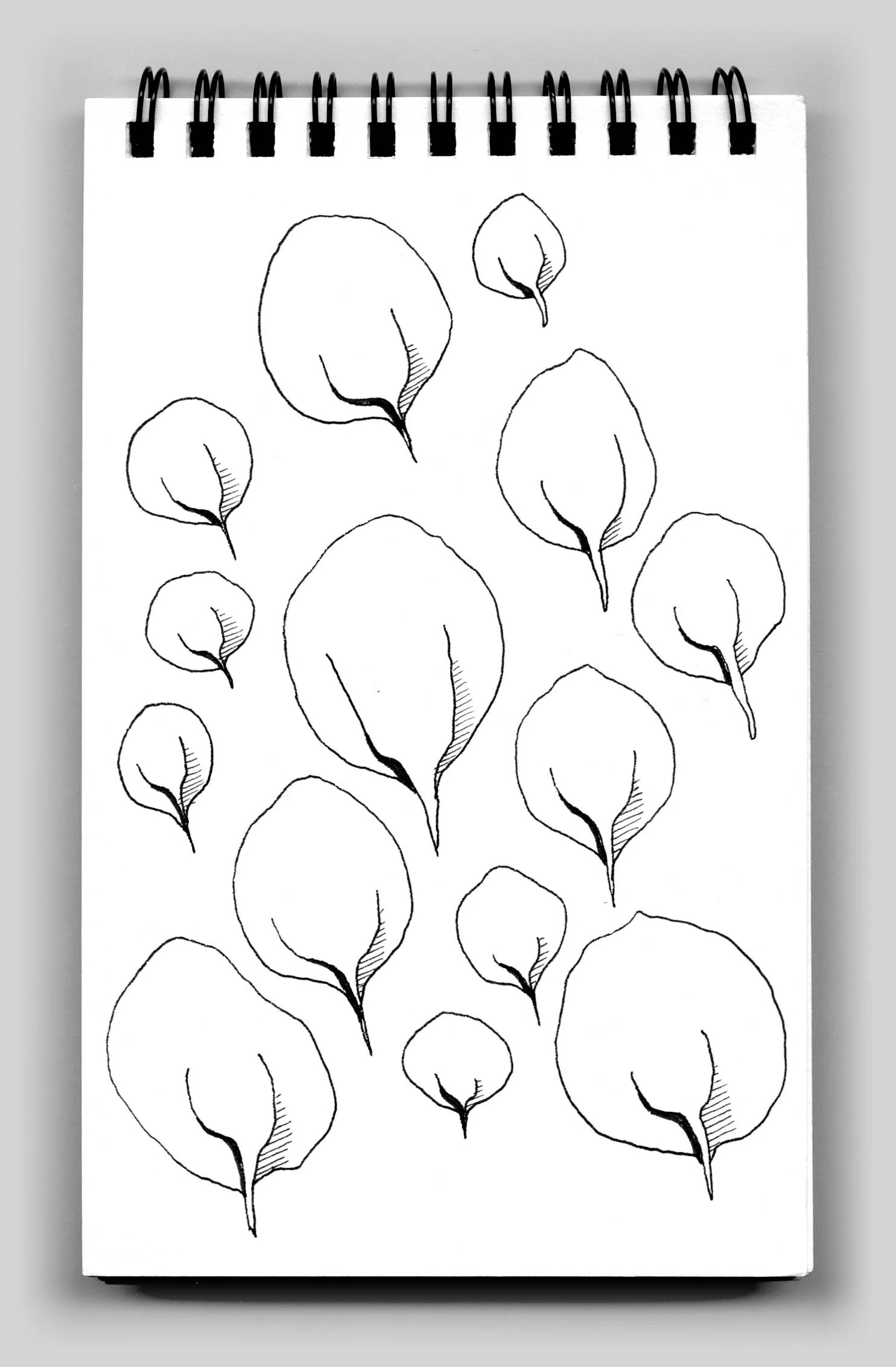 Untitled (book 30, sketch 10)