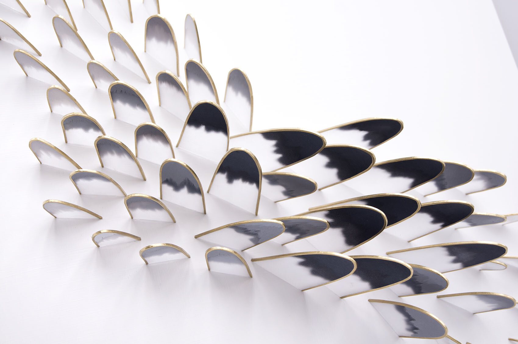 dp3d091-wingspan-detail1.jpg