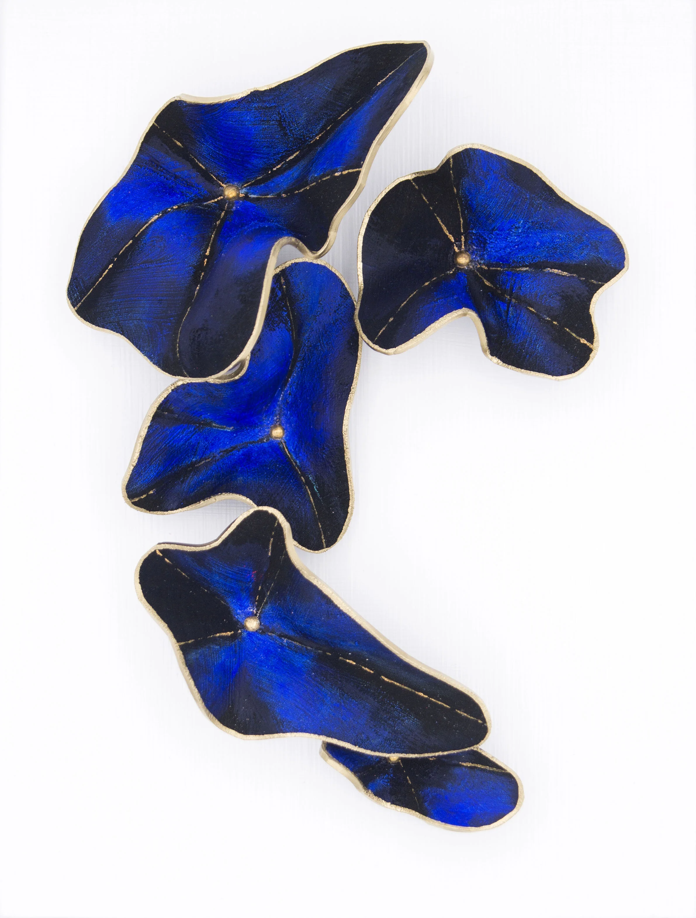 Nymphaea Blues