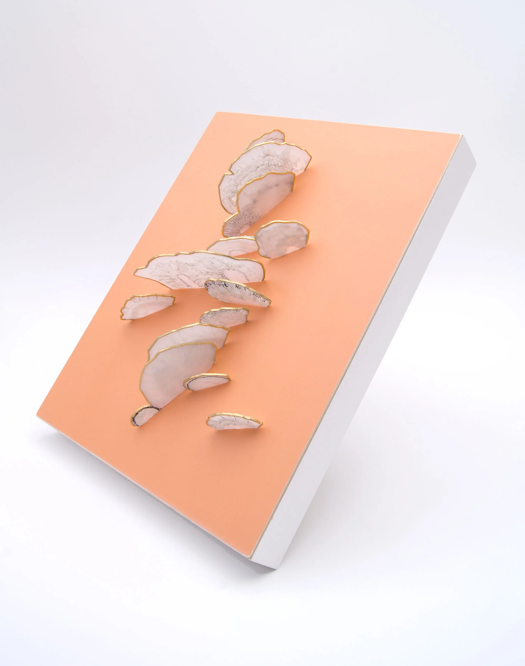 ch3d019-atomic-set-polypore-corner.jpg