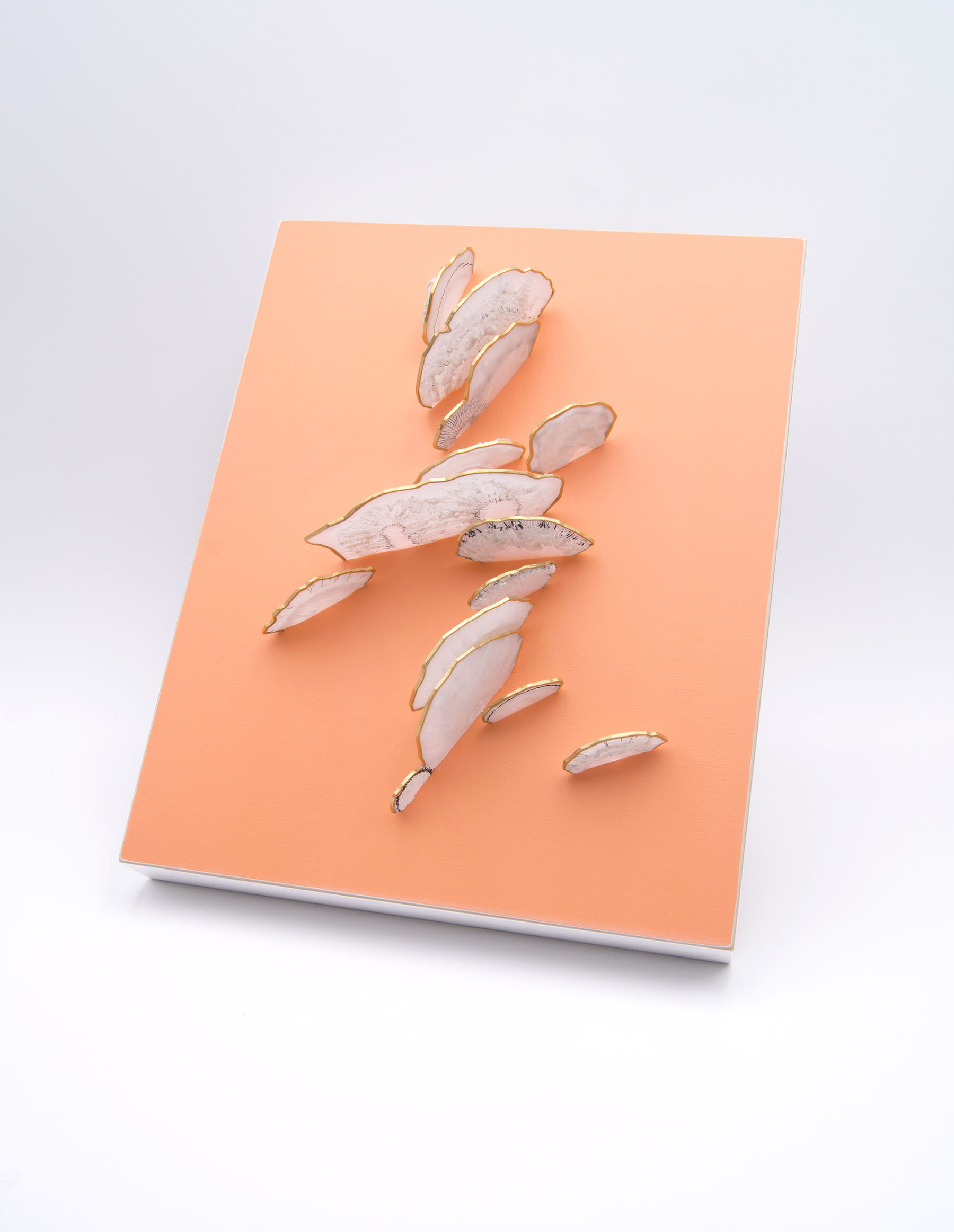 ch3d019-atomic-set-polypore-angle2.jpg