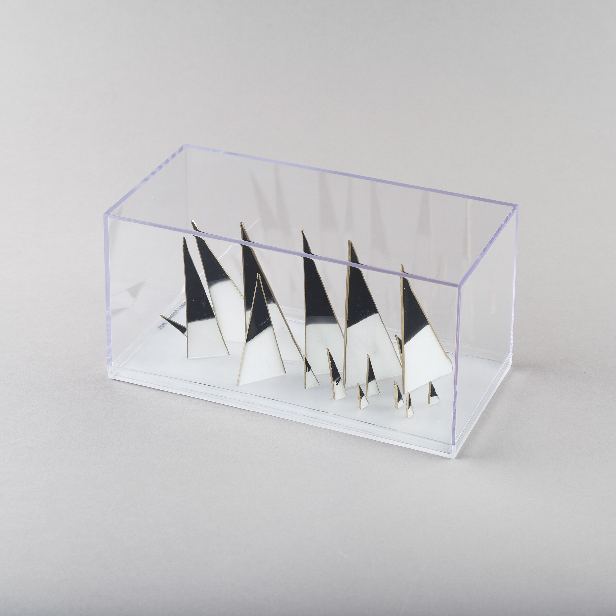 Case Study: Light and Obscurity