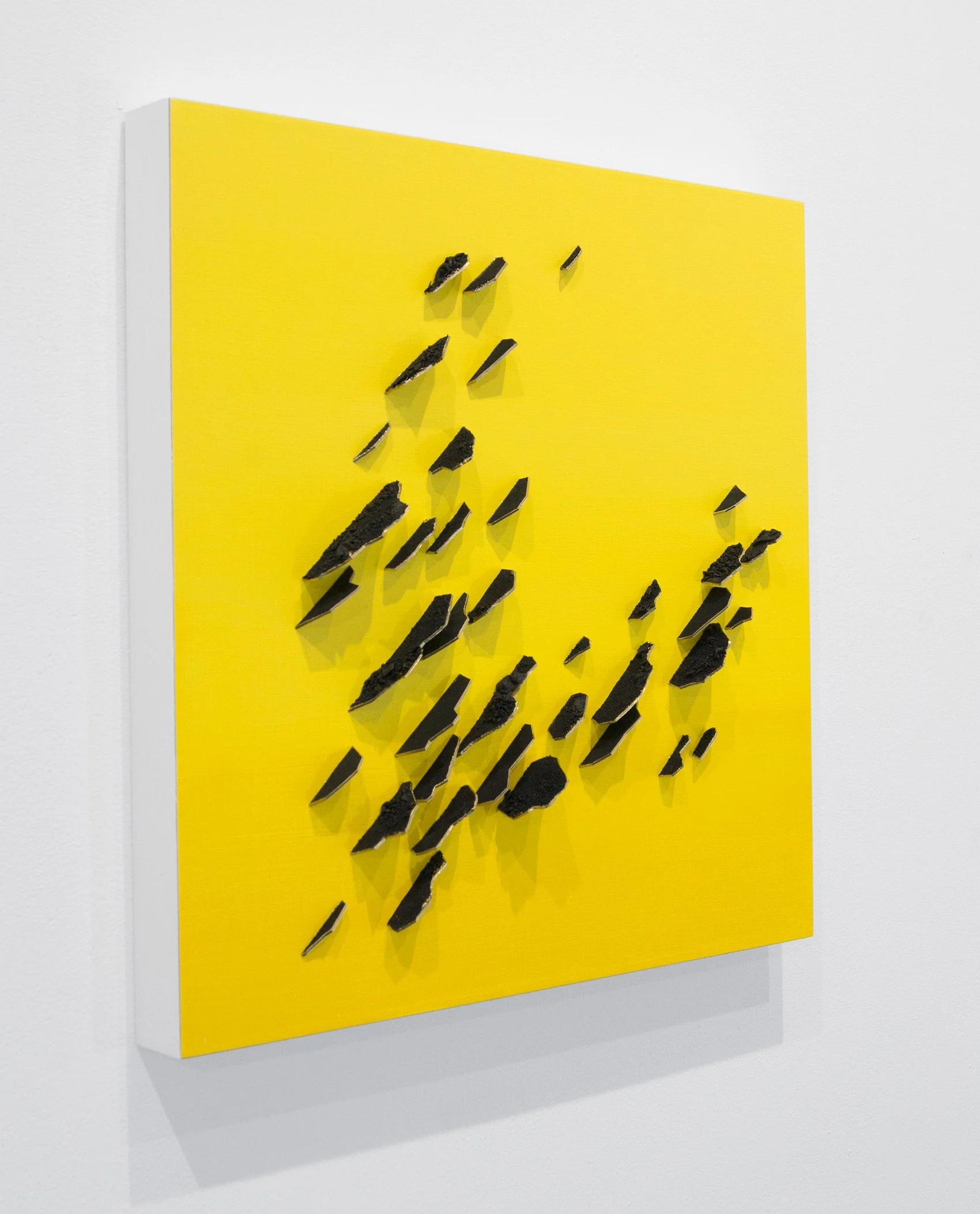 Canary in the Coal Mine 2