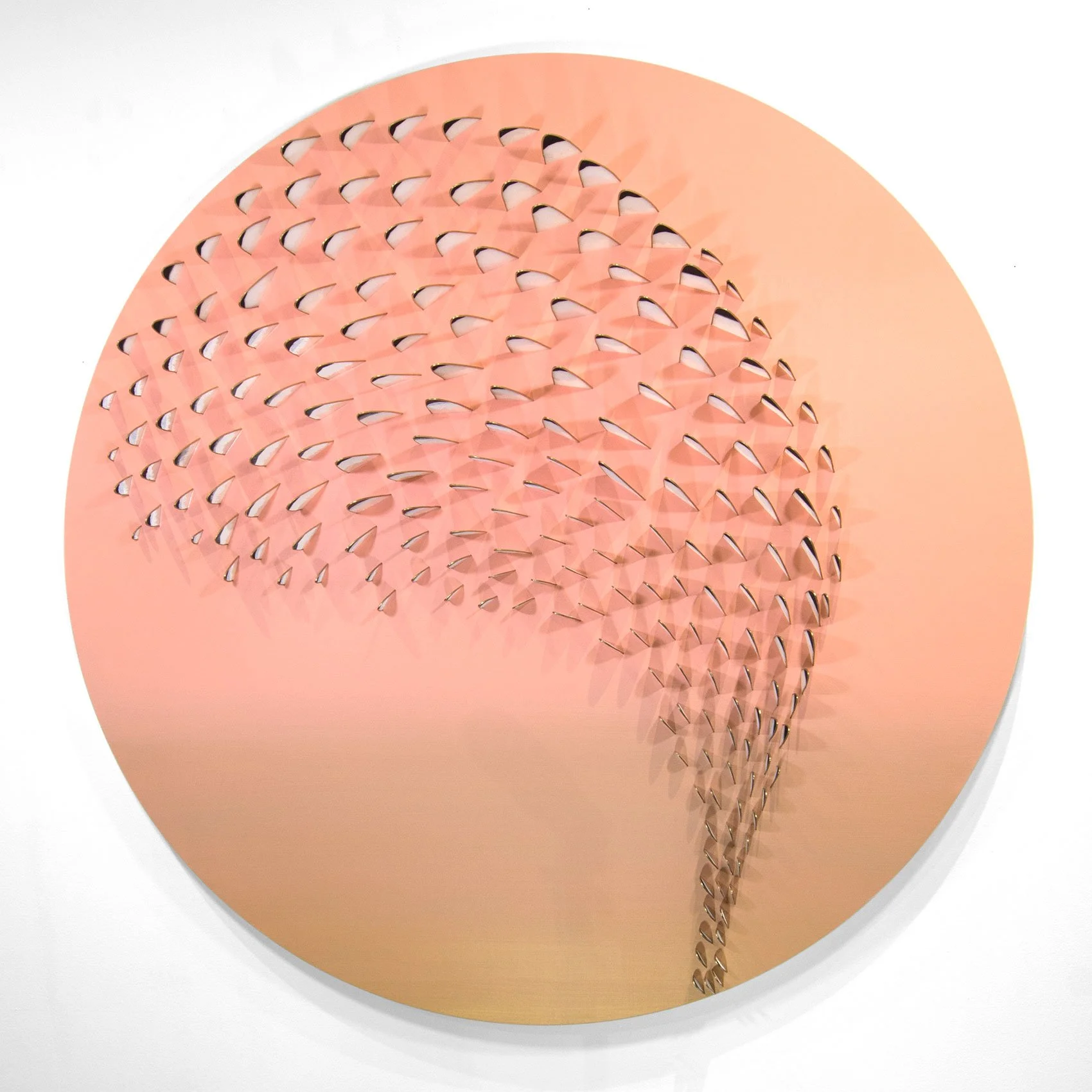 The Ostrich Effect (Round)