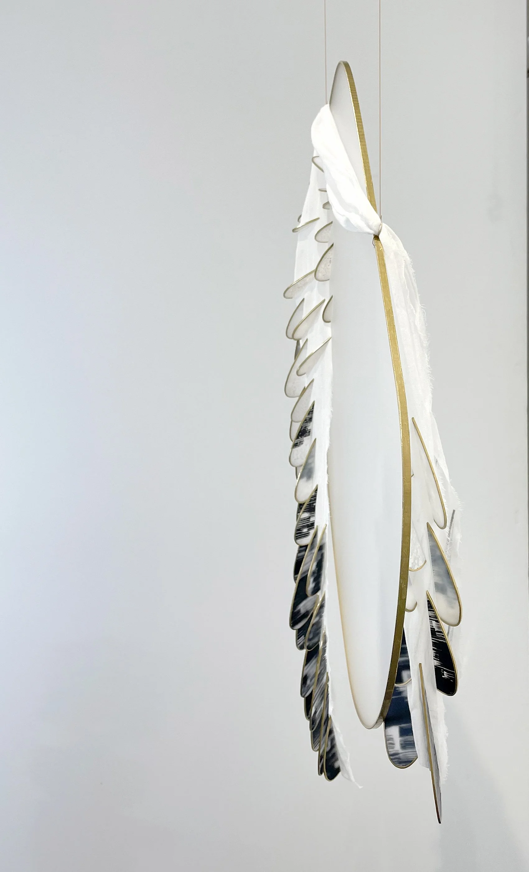 bdbr034-albatross-about-my-neck-angle2.jpg