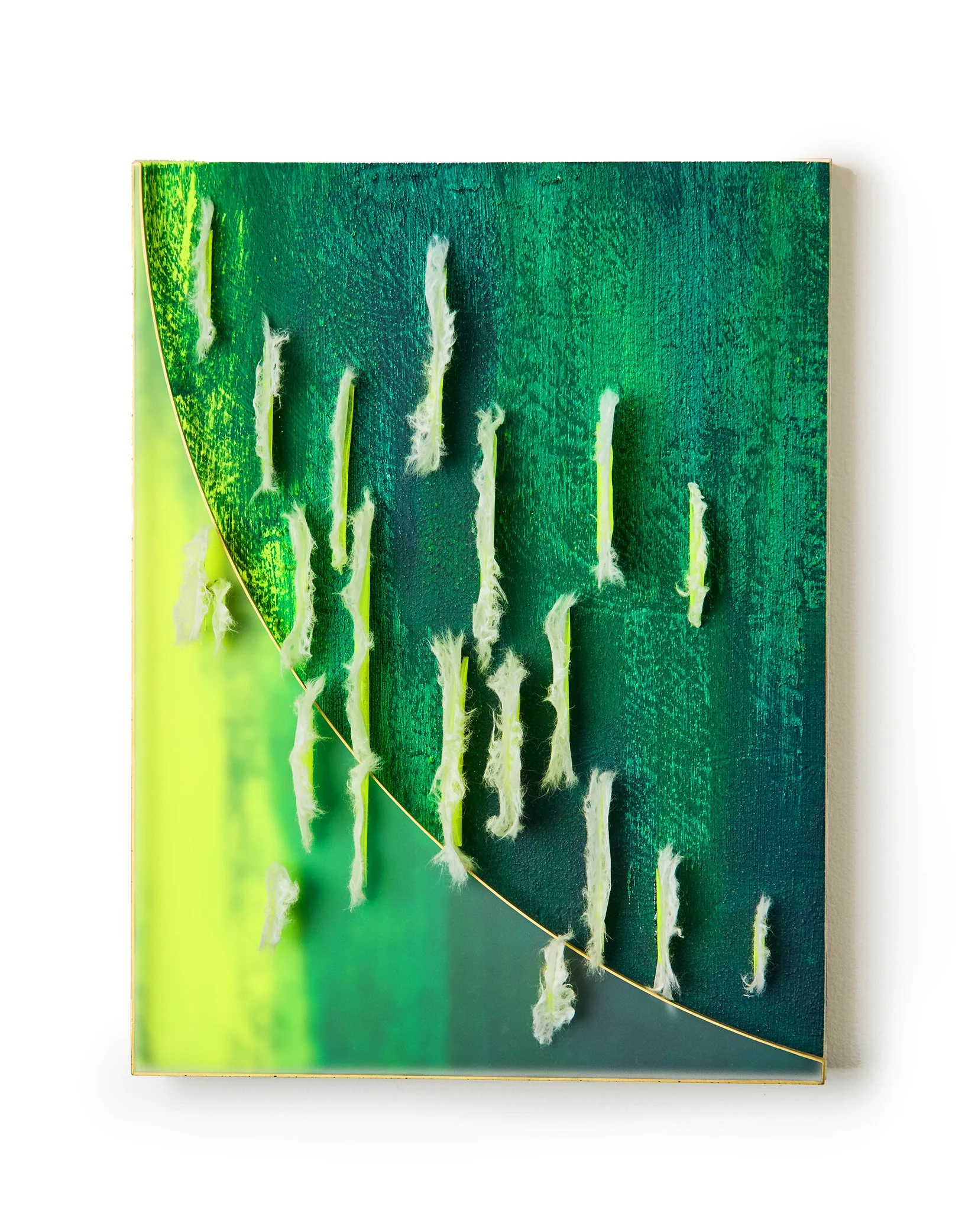 Yellow-Faced Parrot Wing