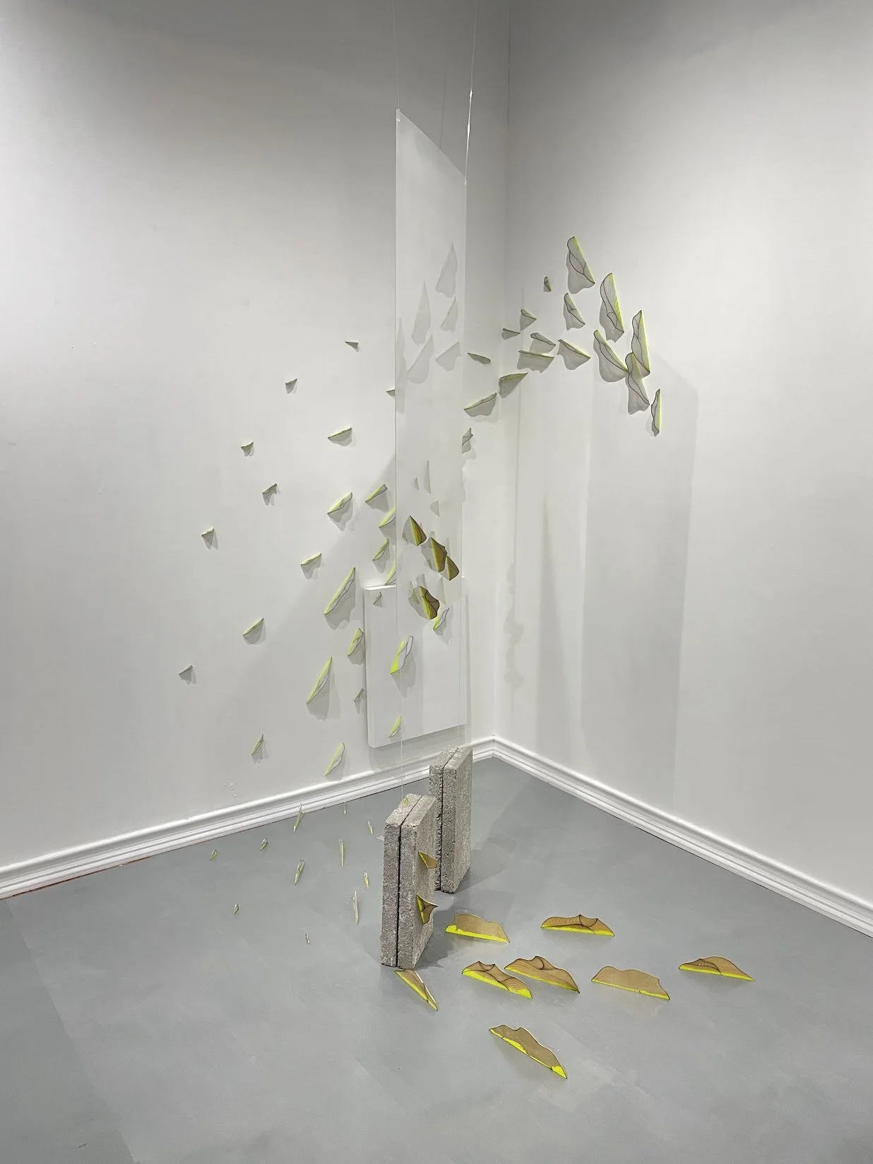 Reflection, Transformation