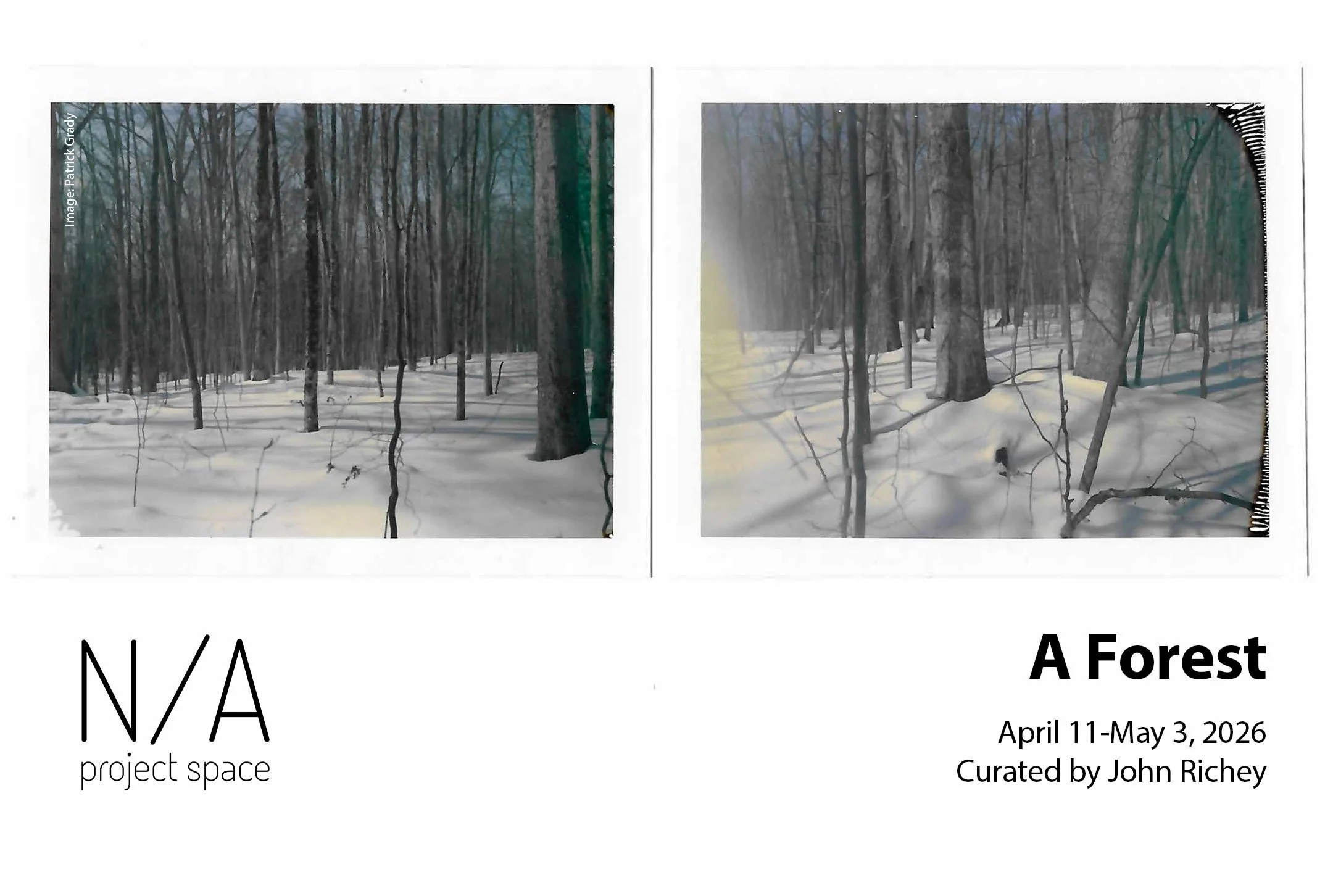 A Forest at N/A Project Space