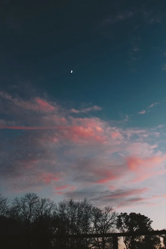FC5F35F4-6E36-4DCD-B0BA-92A8FC7612A5.jpg