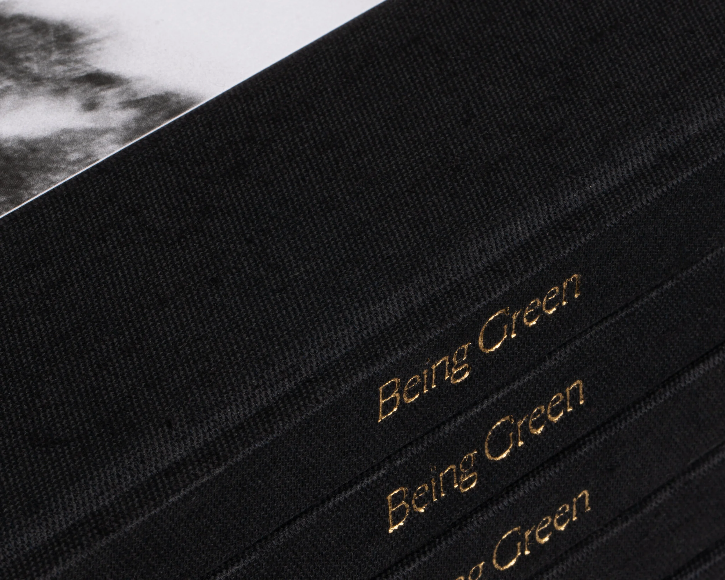 Being_Green_Spine_Detail.jpg
