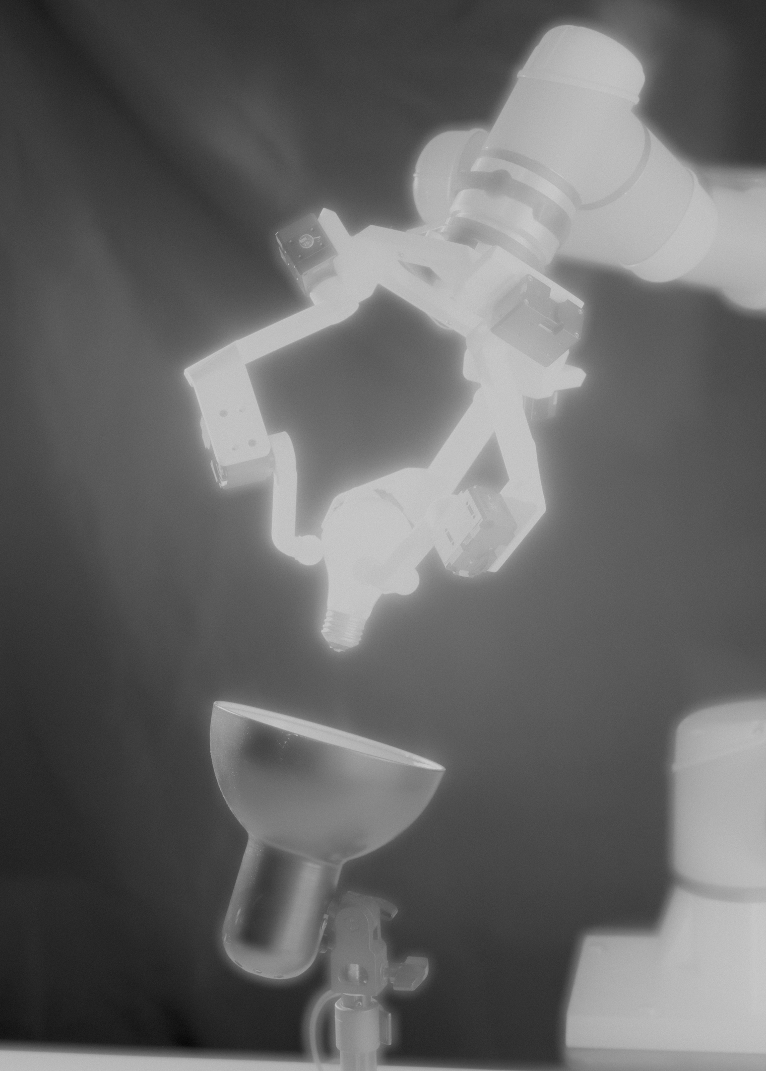   Yale Magazine    2024-2025    