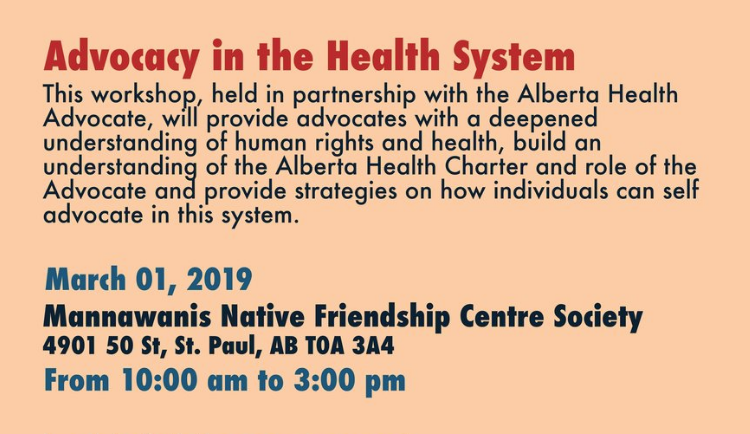 Stride St. Paul: Advocacy in Health