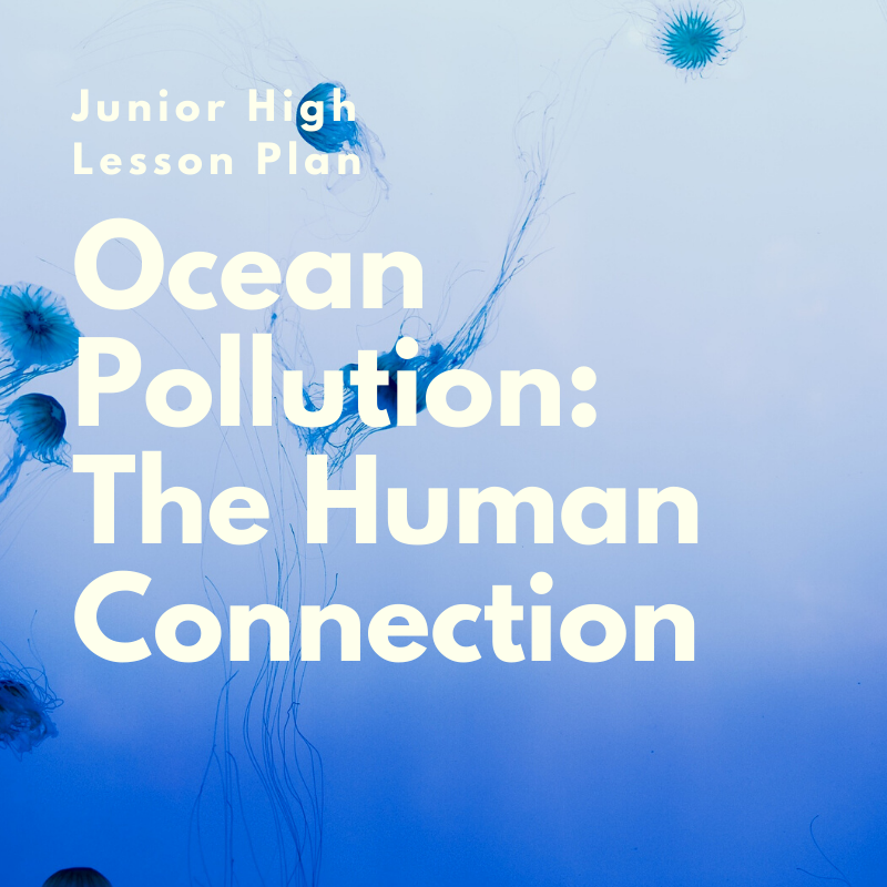 Ocean Pollution Junior High