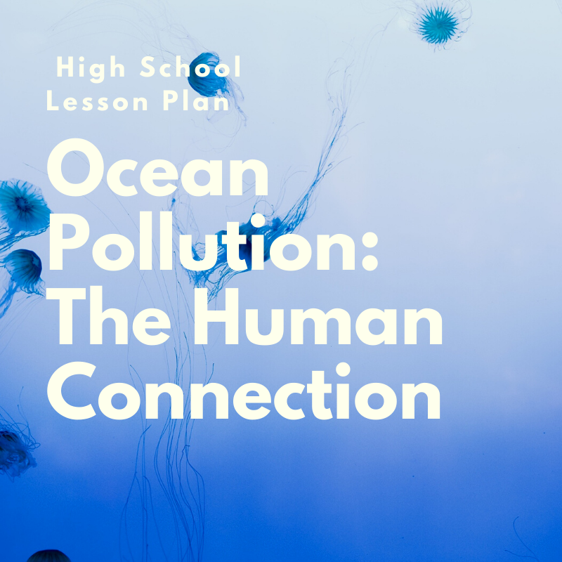 Ocean Pollution_ The Human Connection (1).png