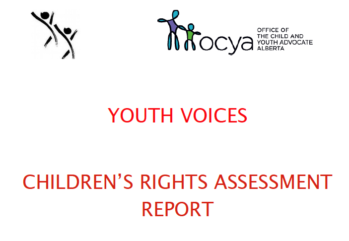 Youth Voices Research Report