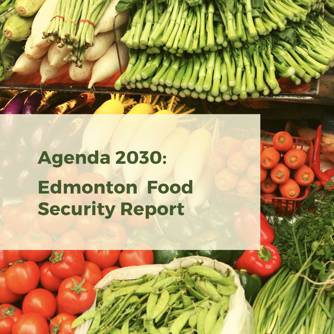 Edmonton Food Security Report