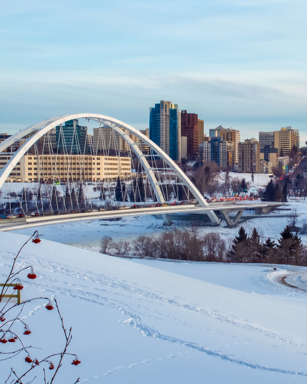 Community Learning Opportunities in Alberta: Food Work &amp; Advocacy