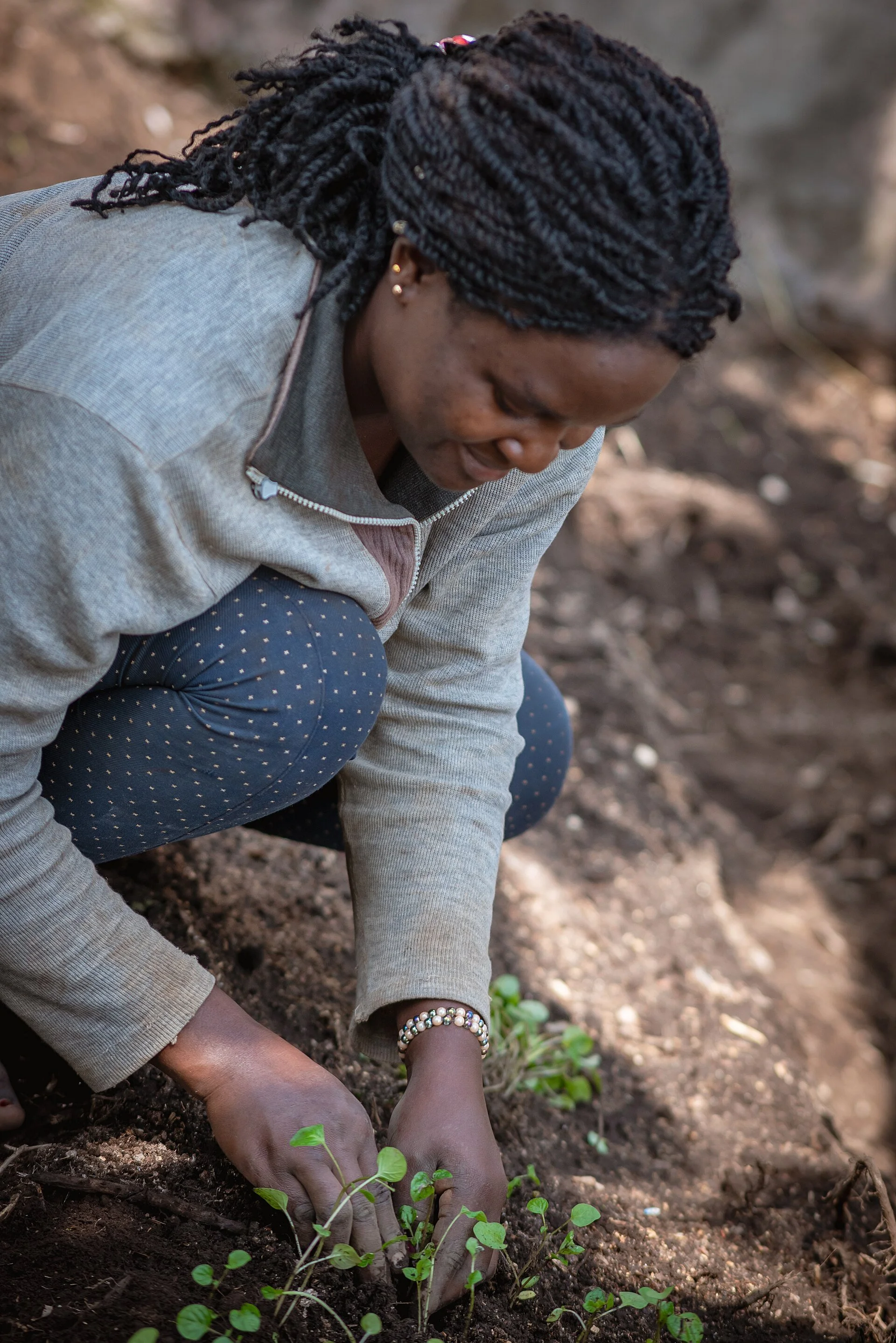 Microgrant Opportunities for Initiatives Addressing Food Security &amp; Sovereignty