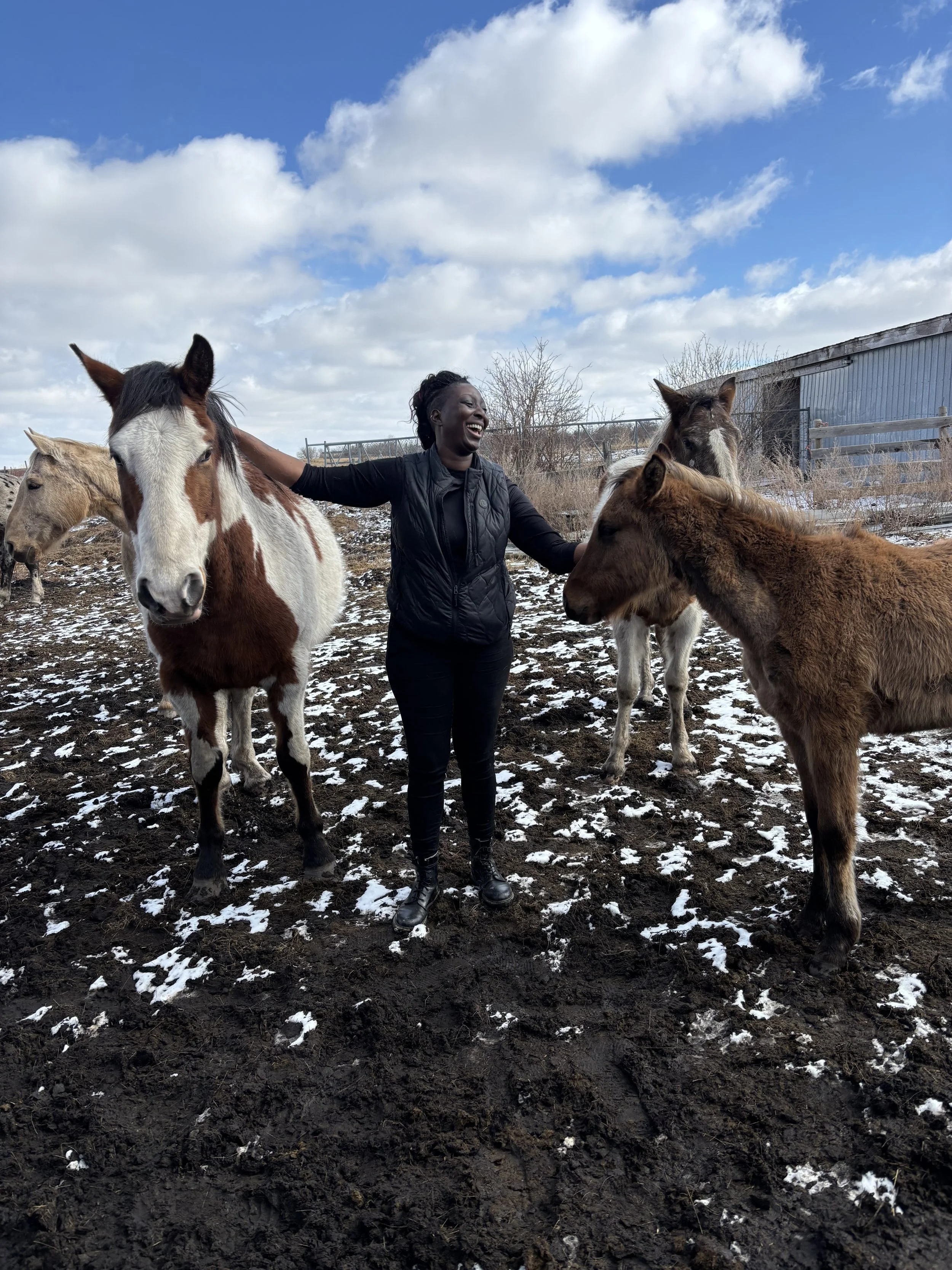 A Different Path to Healing: Horse Healing Session with Patrick Buffalo