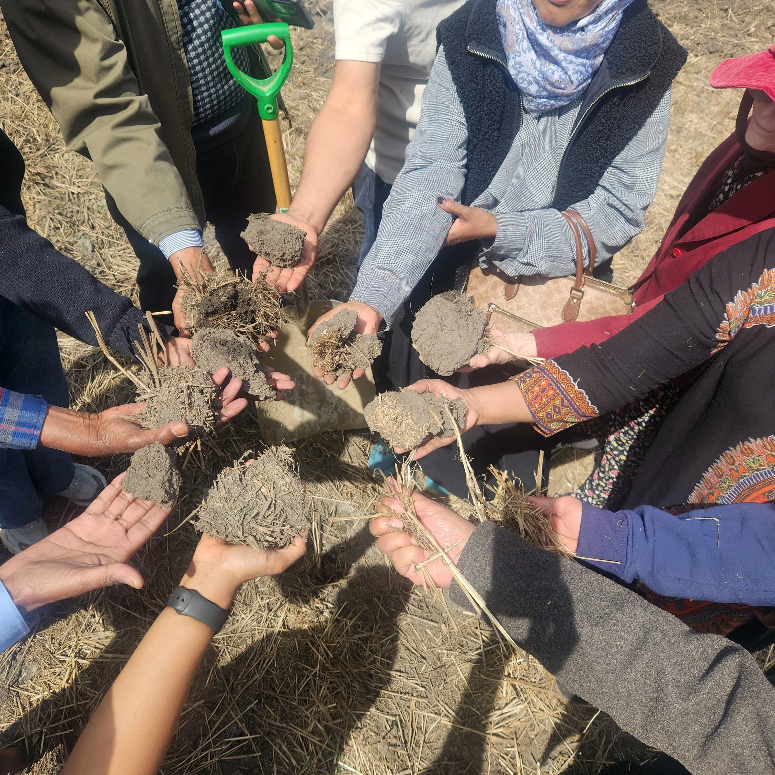 Growing Belonging: How Agriculture, Newcomer Resilience, and Westlock’s Generosity are Revitalizing the Land