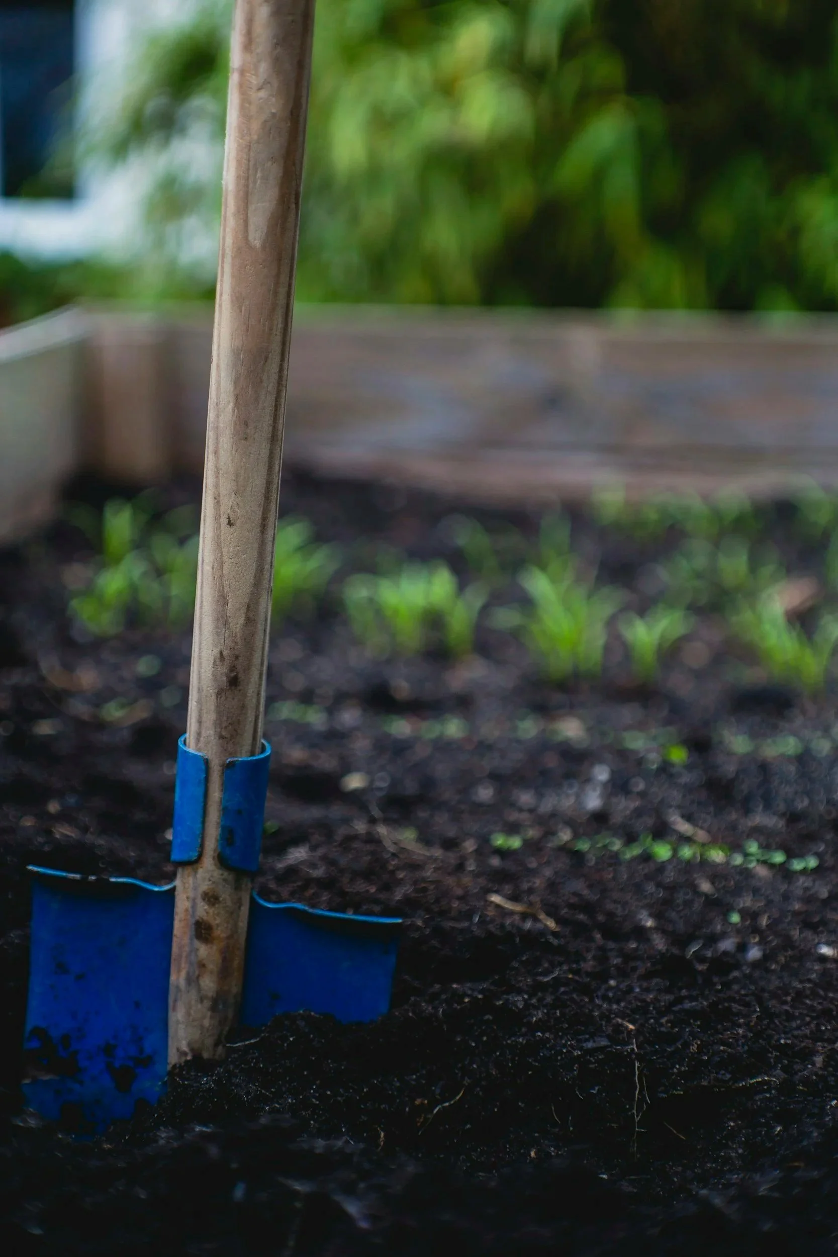11 Seeds of Change: How Community-Led, Community-Fed Initiatives Are Strengthening Local Food Sovereignty in 2026