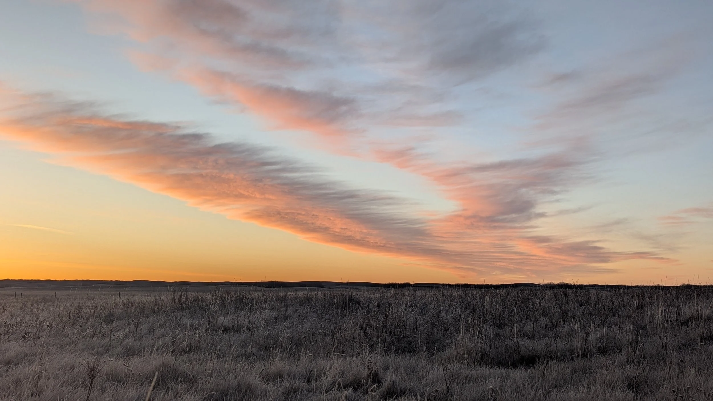 Personal Reflection: A Journey of Settler Responsibility on the Land