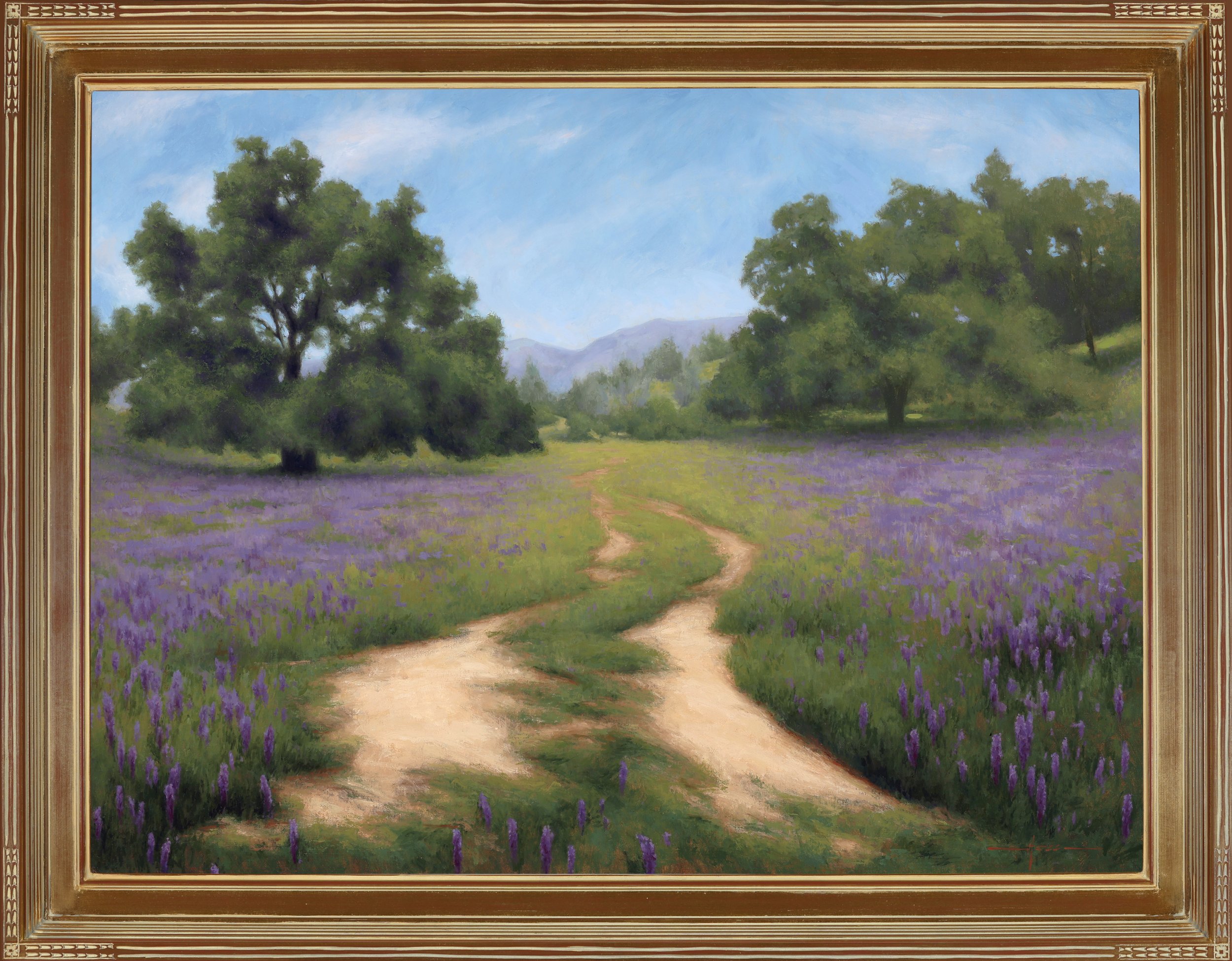 cv sample 22 frame.jpg